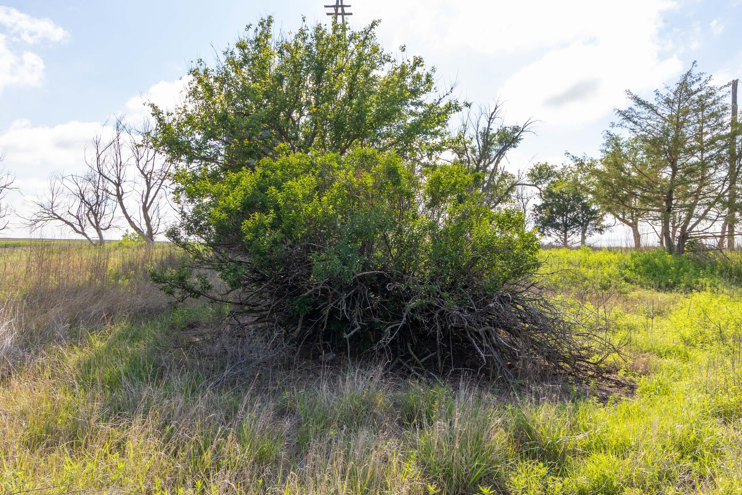 Crandall's Corner Tract 3 photo 4