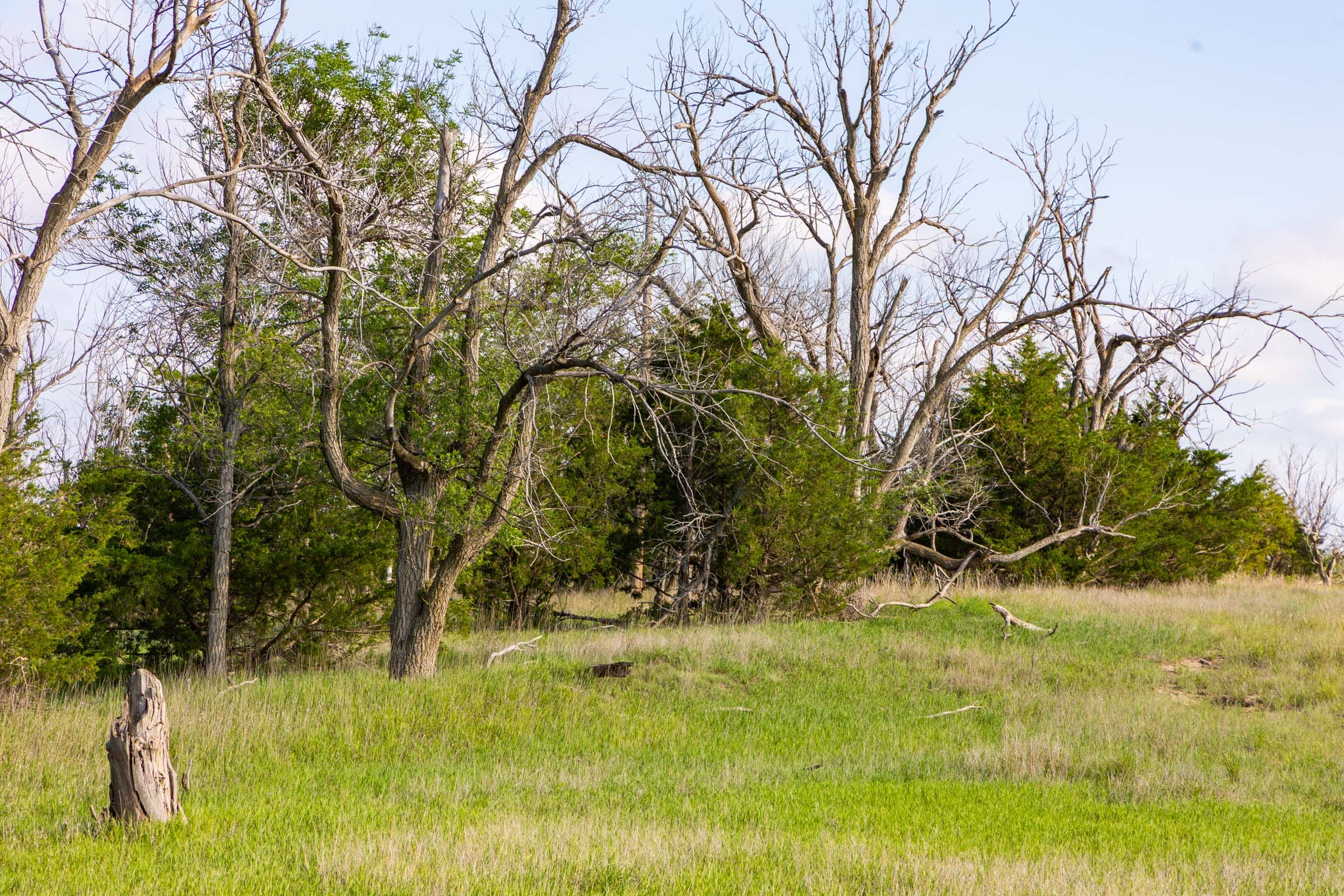 Crandall's Corner Tract 3 photo 5