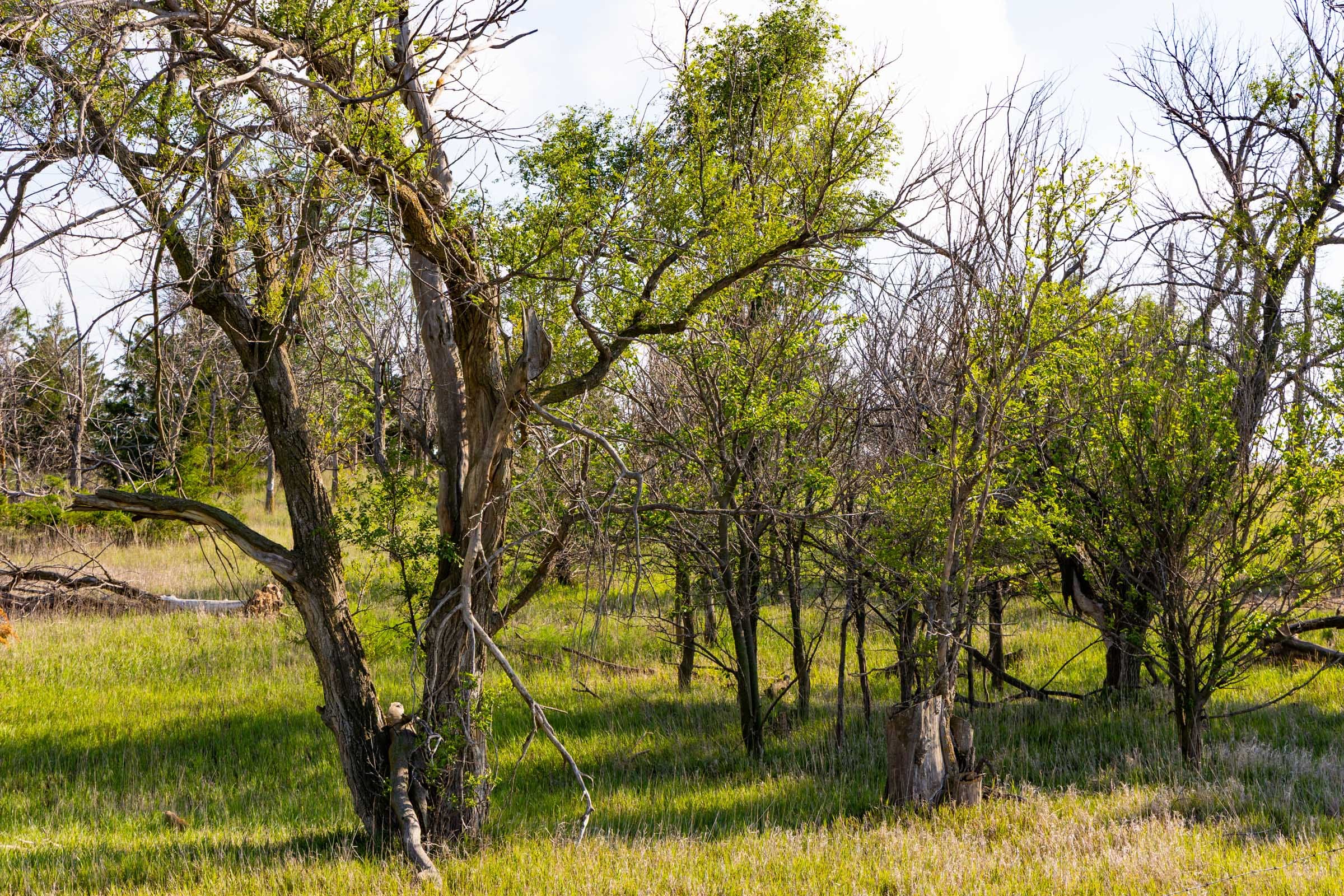 Crandall's Corner Tract 3 photo 6