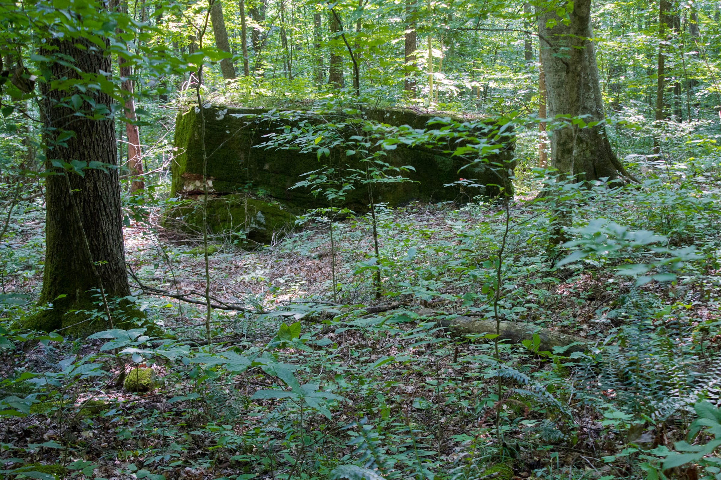 Bluewater Ridge Tract 15 photo 12
