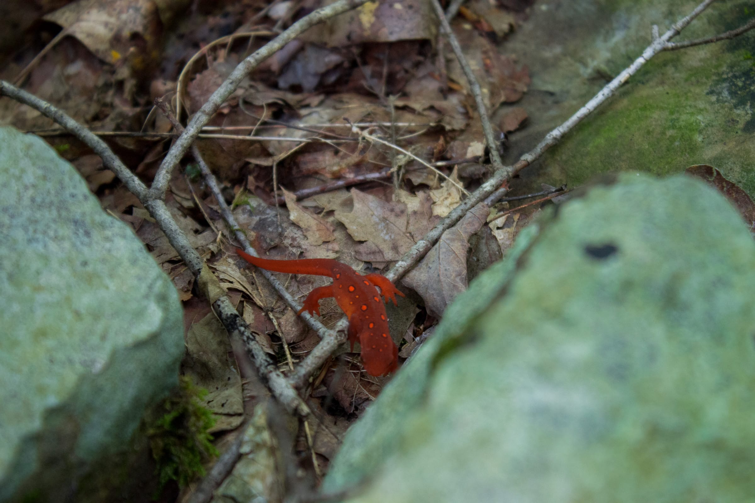 Bluewater Ridge Tract 15 photo 14