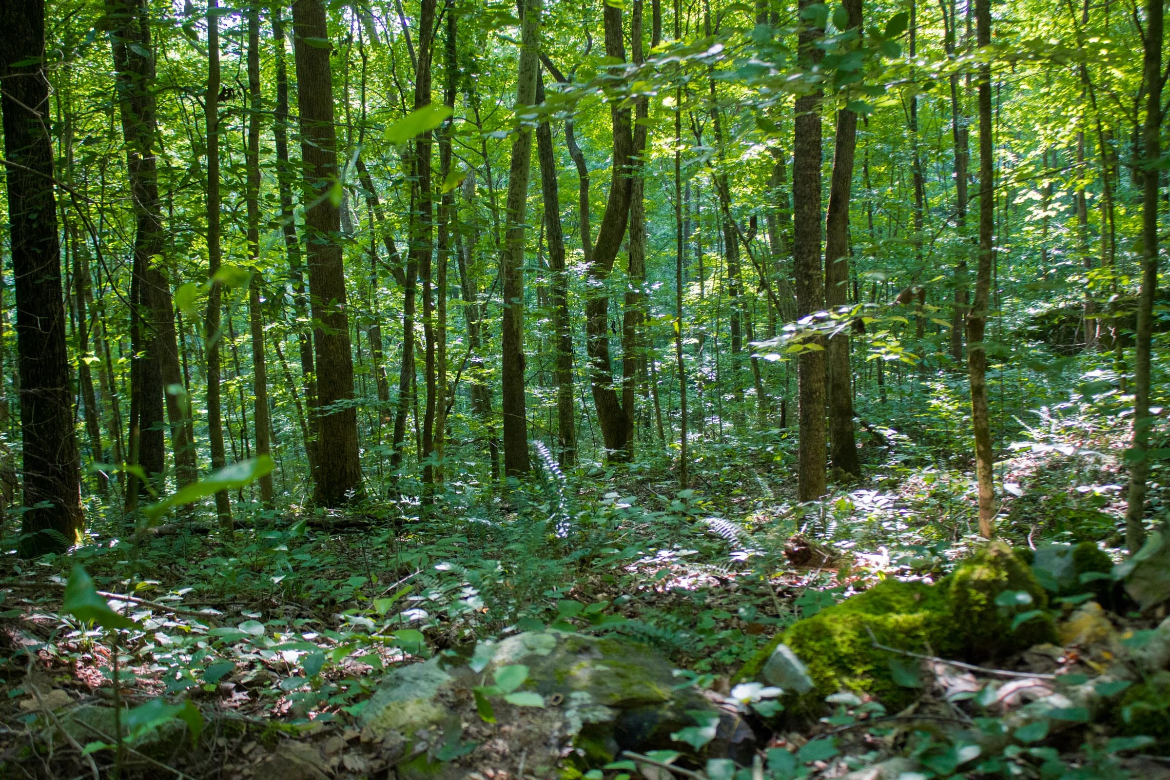 Bluewater Ridge Tract 15 photo 15