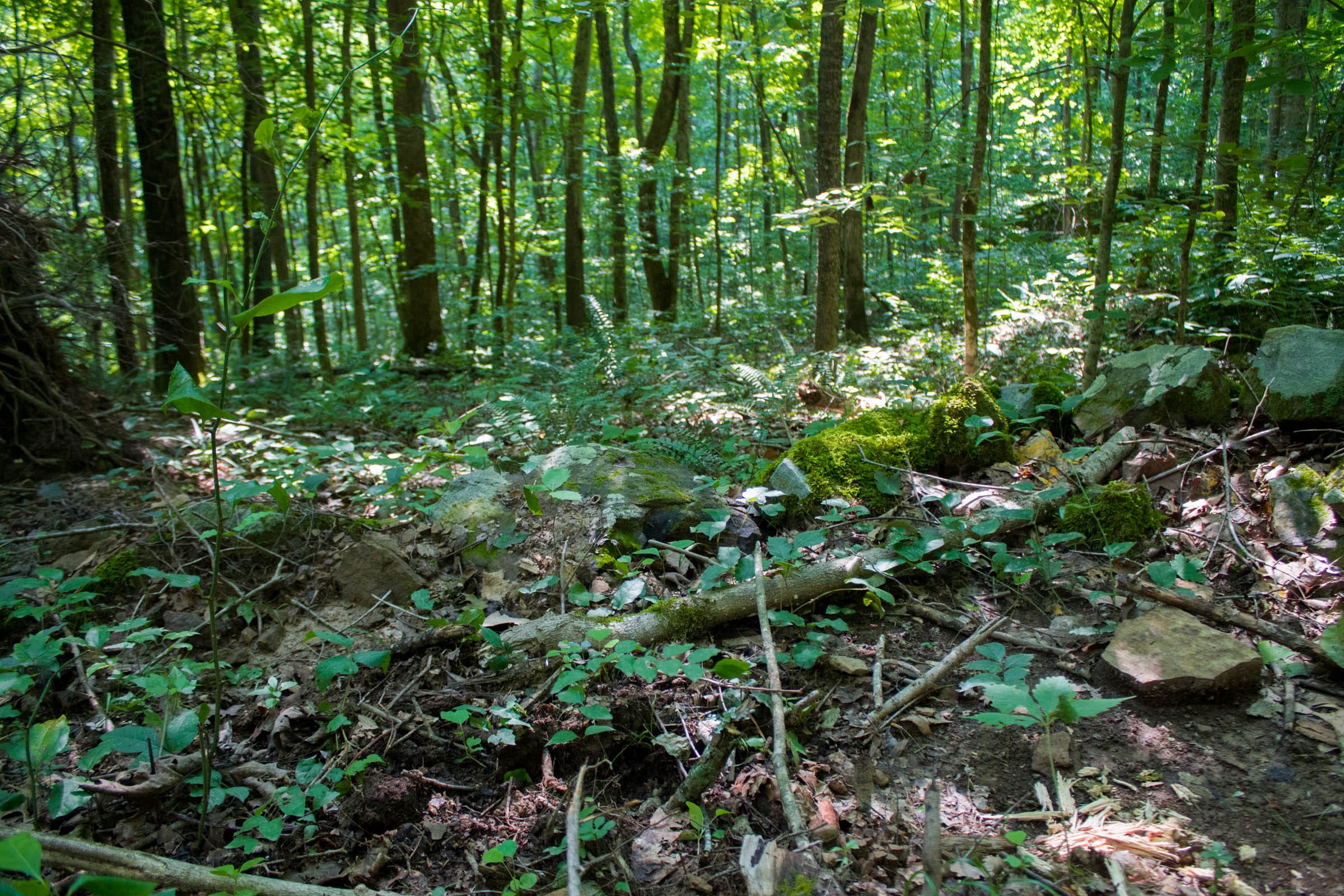 Bluewater Ridge Tract 15 photo 16