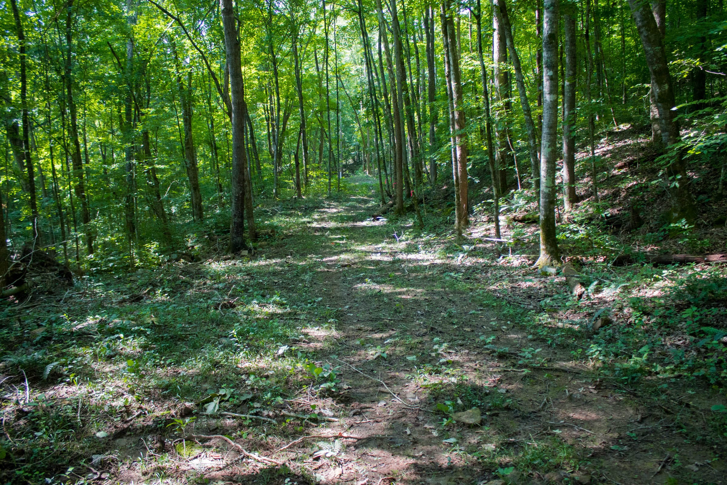 Bluewater Ridge Tract 15 photo 1