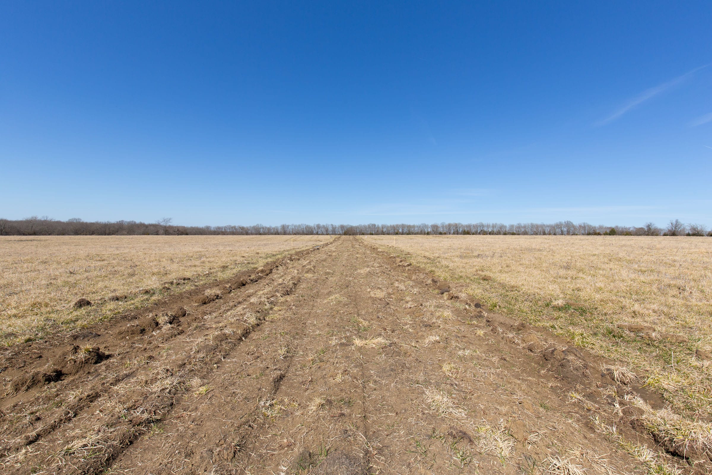 Wishing Star Ranch Tract 26 photo 6