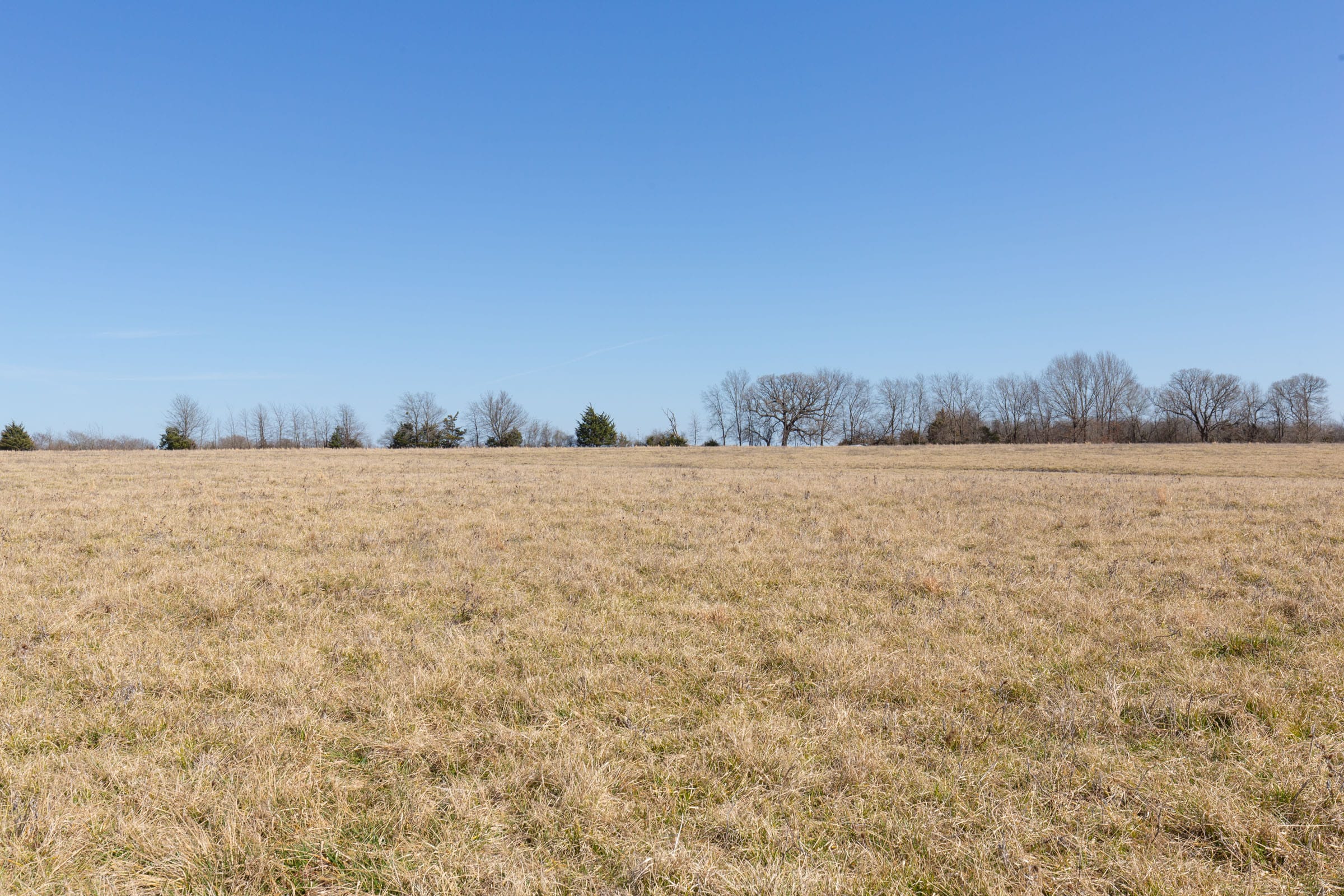 Wishing Star Ranch Tract 26 photo 8