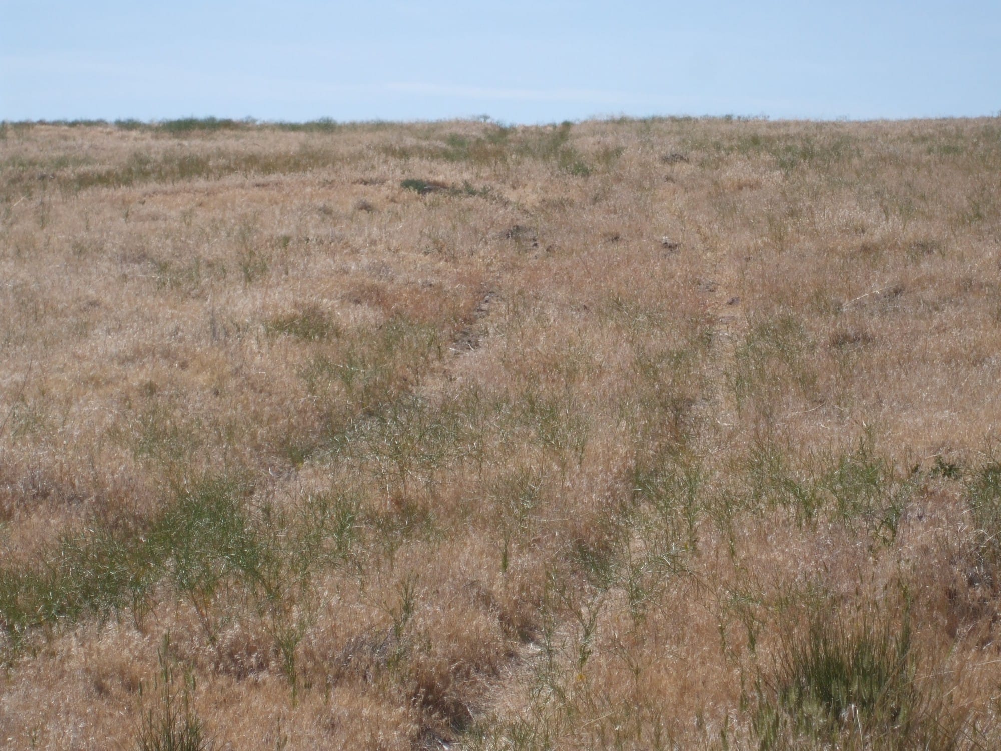 Elko County Tract 7 photo 5