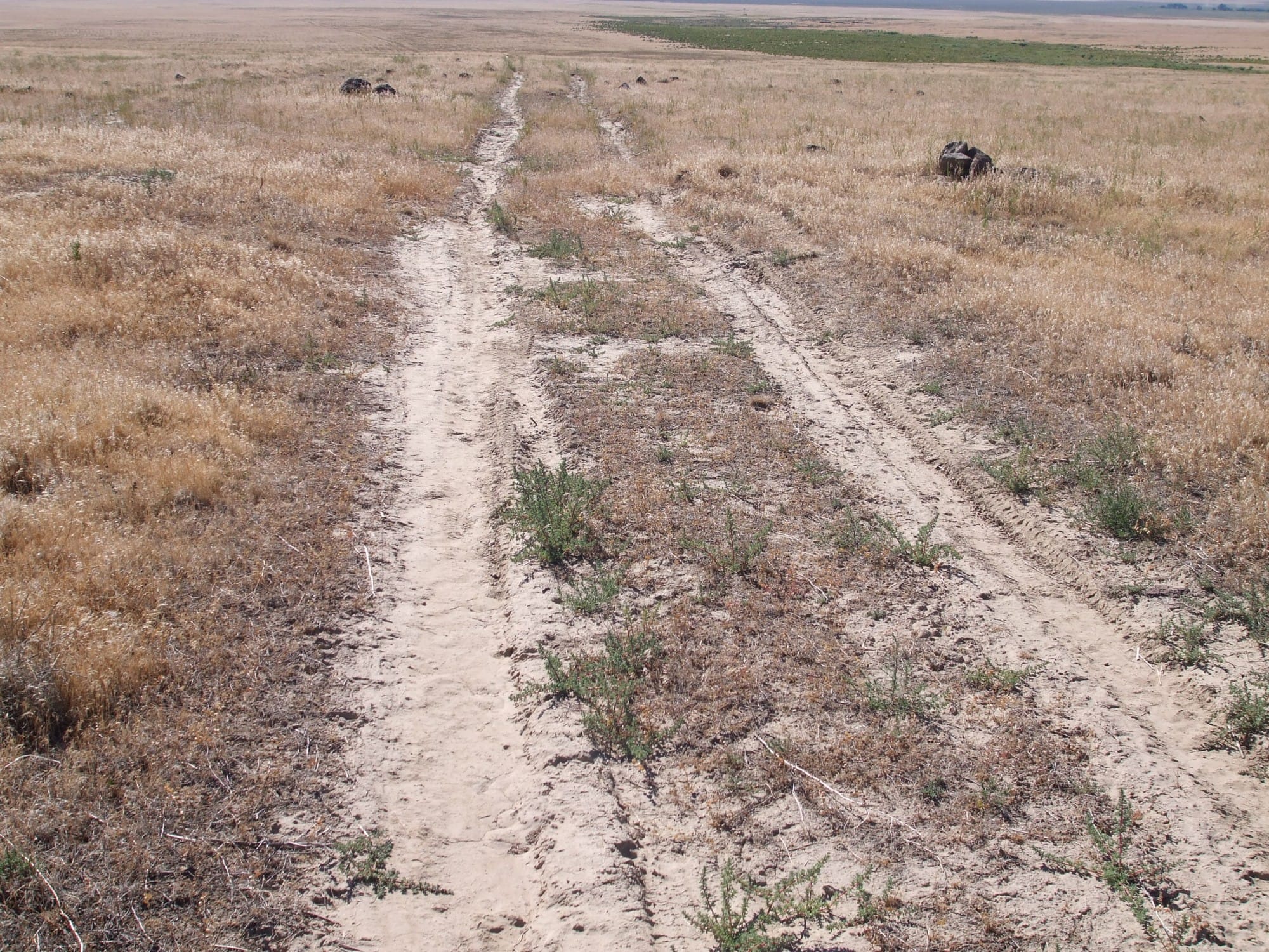 Elko County Tract 7 photo 12