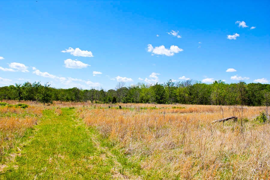 Saddlebrook Ranch Tract 37 photo 2