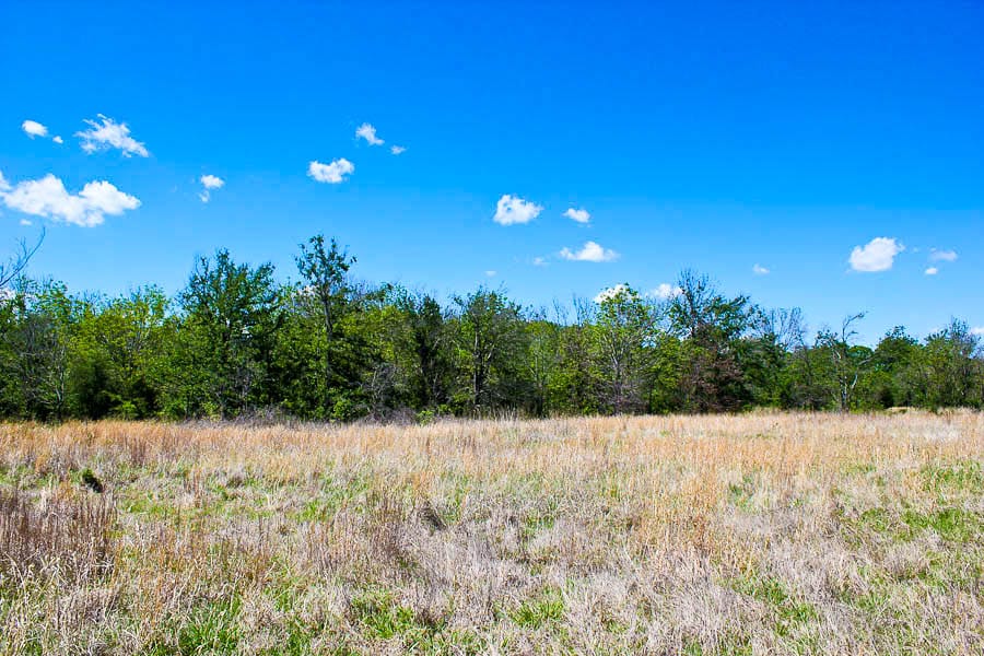 Saddlebrook Ranch Tract 37 photo 3