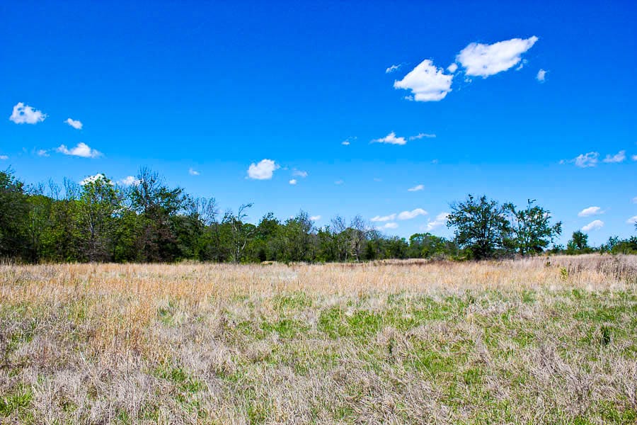 Saddlebrook Ranch Tract 37 photo 4