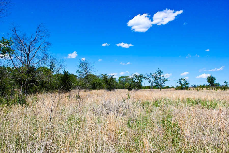 Saddlebrook Ranch Tract 37 photo 8
