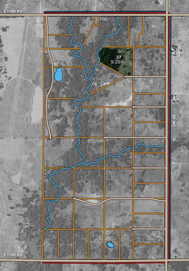 Saddlebrook Ranch Tract 37 photo 10