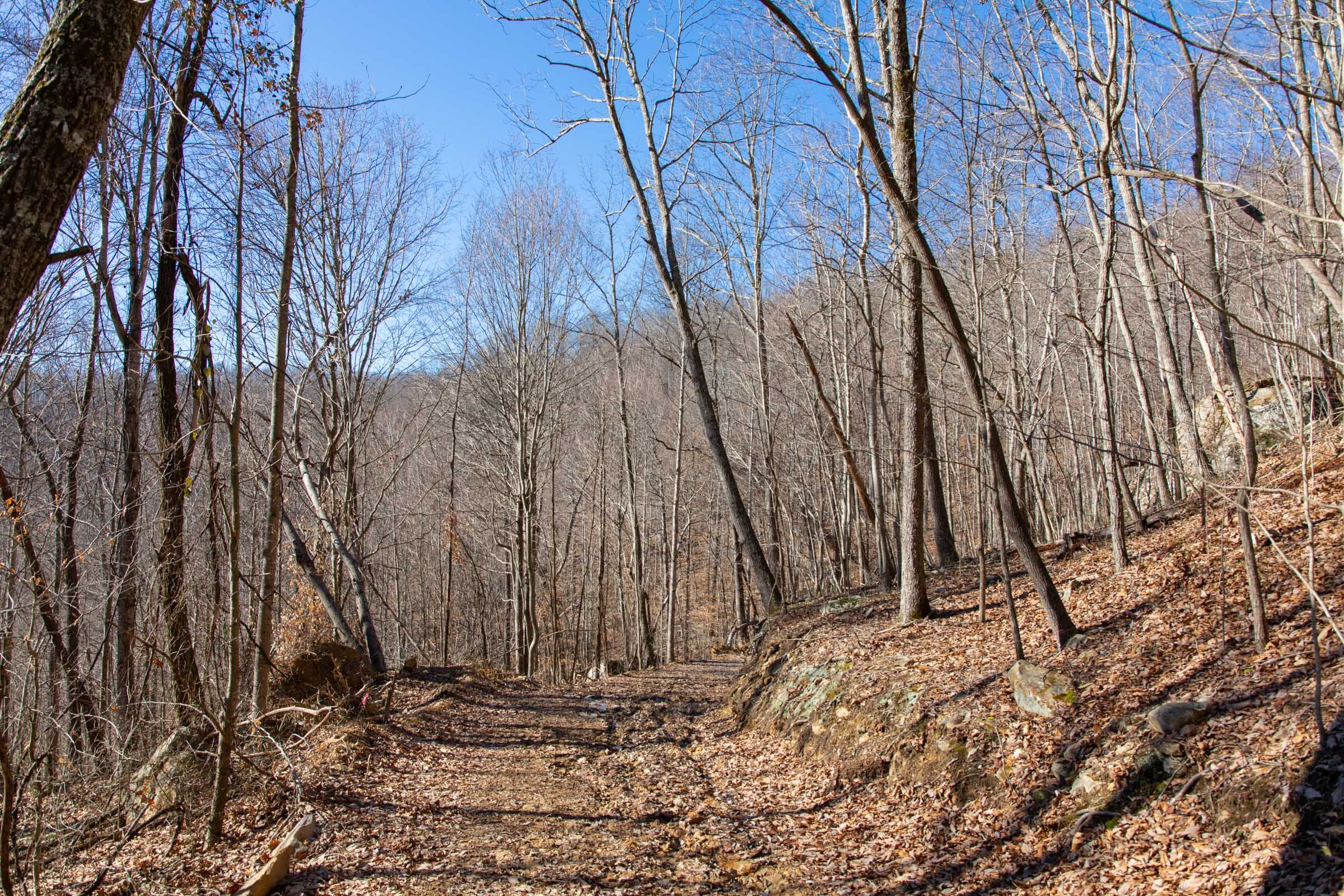 Blackstone Mountain Phase I Tract 19 photo 5