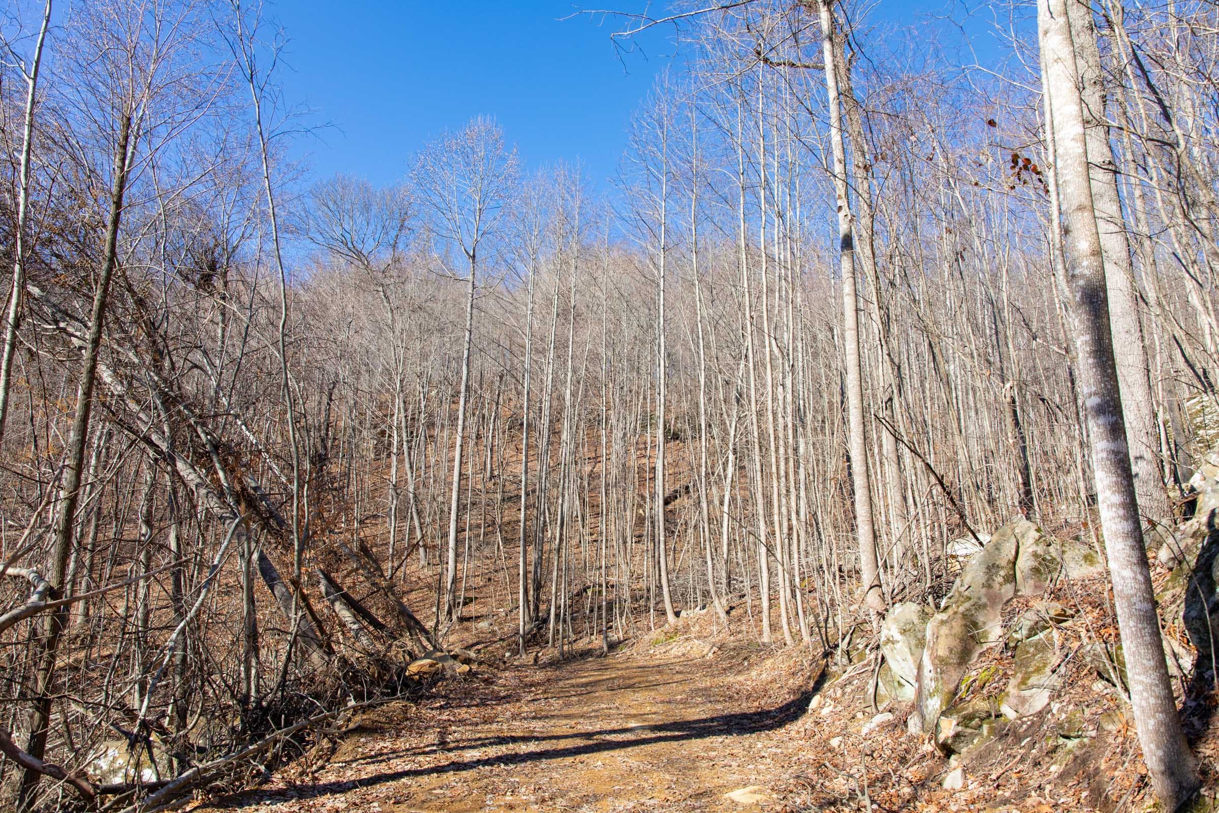 Blackstone Mountain Phase I Tract 19 photo 7