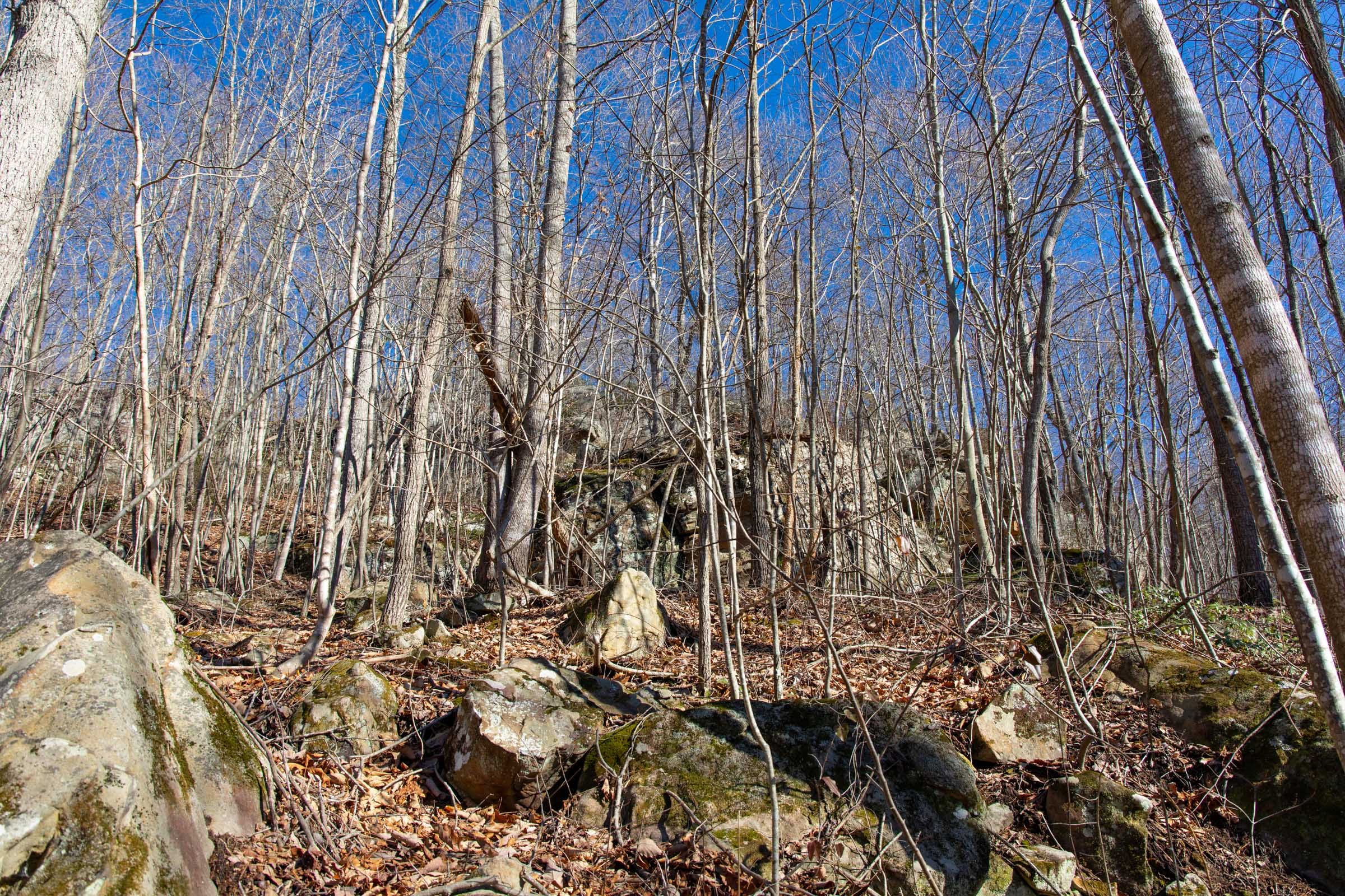 Blackstone Mountain Phase I Tract 19 photo 6