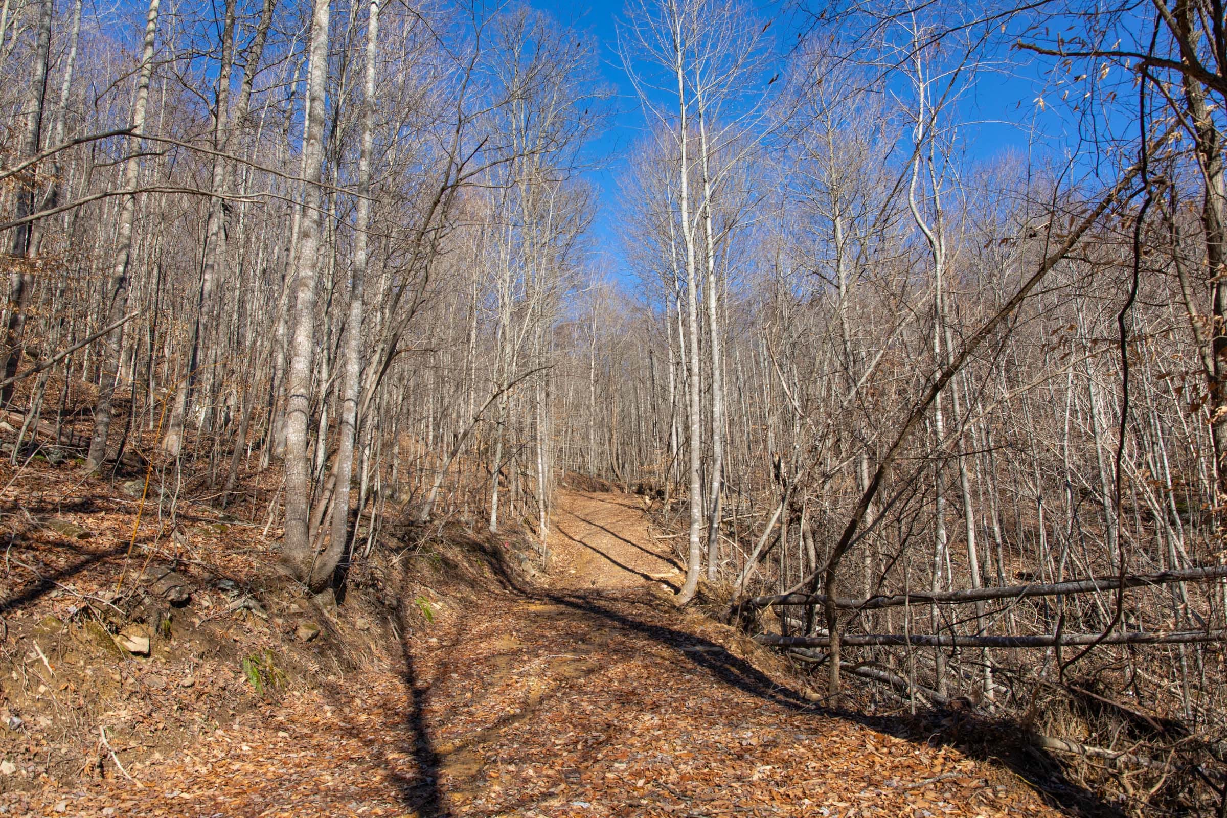 Blackstone Mountain Phase I Tract 19 photo 9