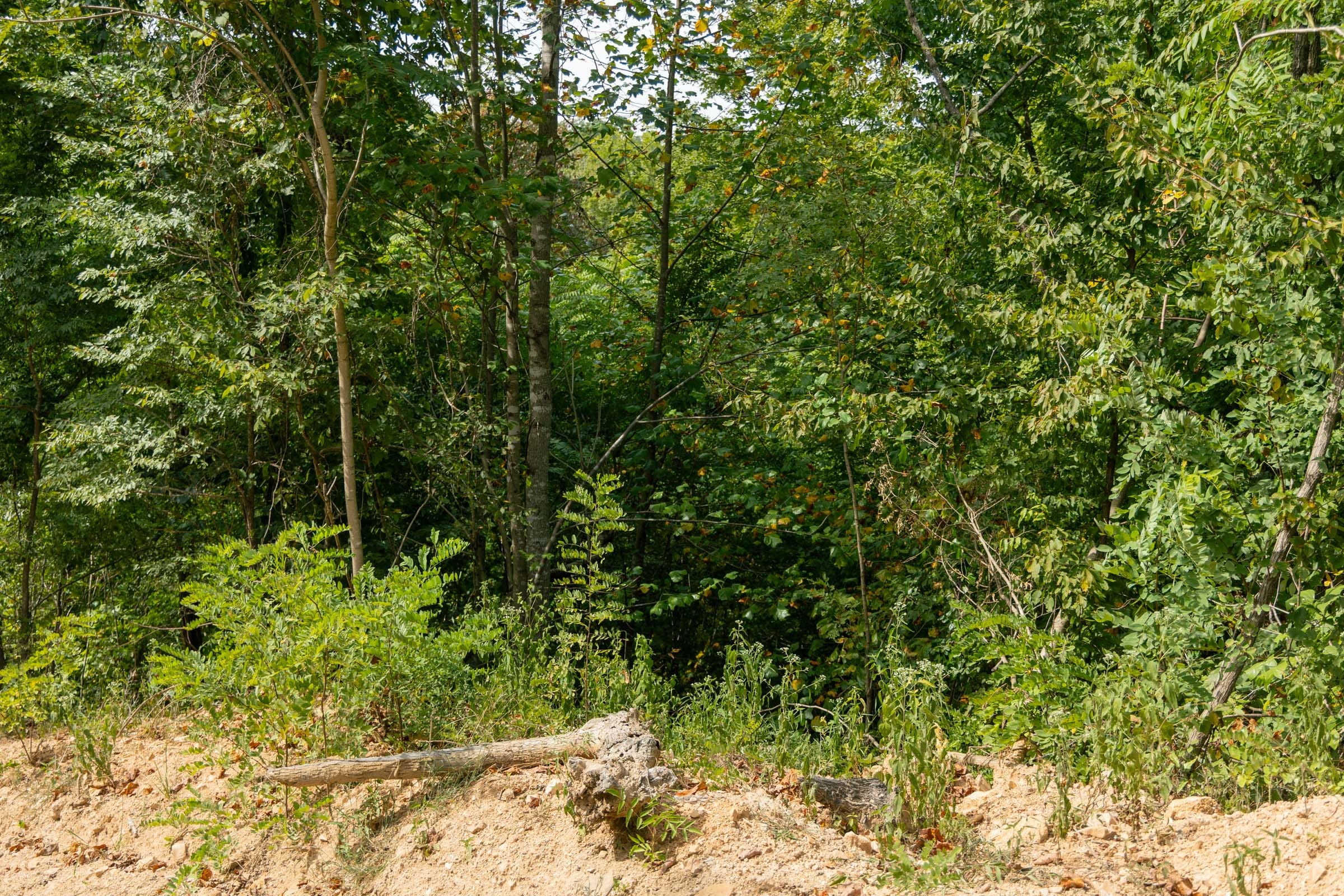 Big White Oak Tract 35 photo 6