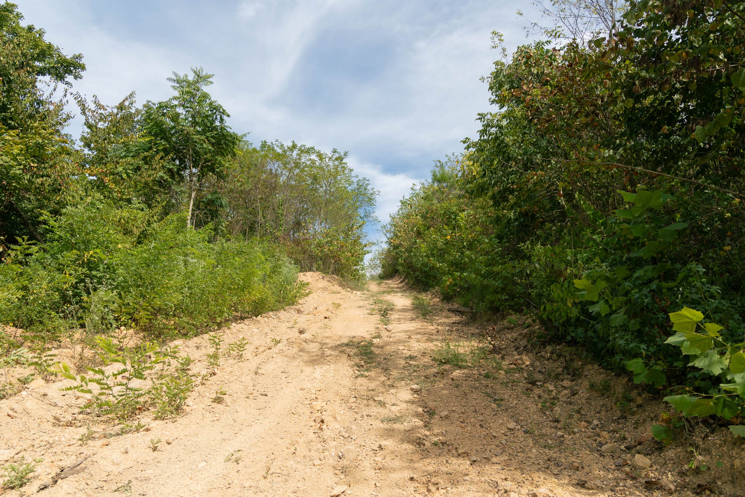 Big White Oak Tract 35 photo 1