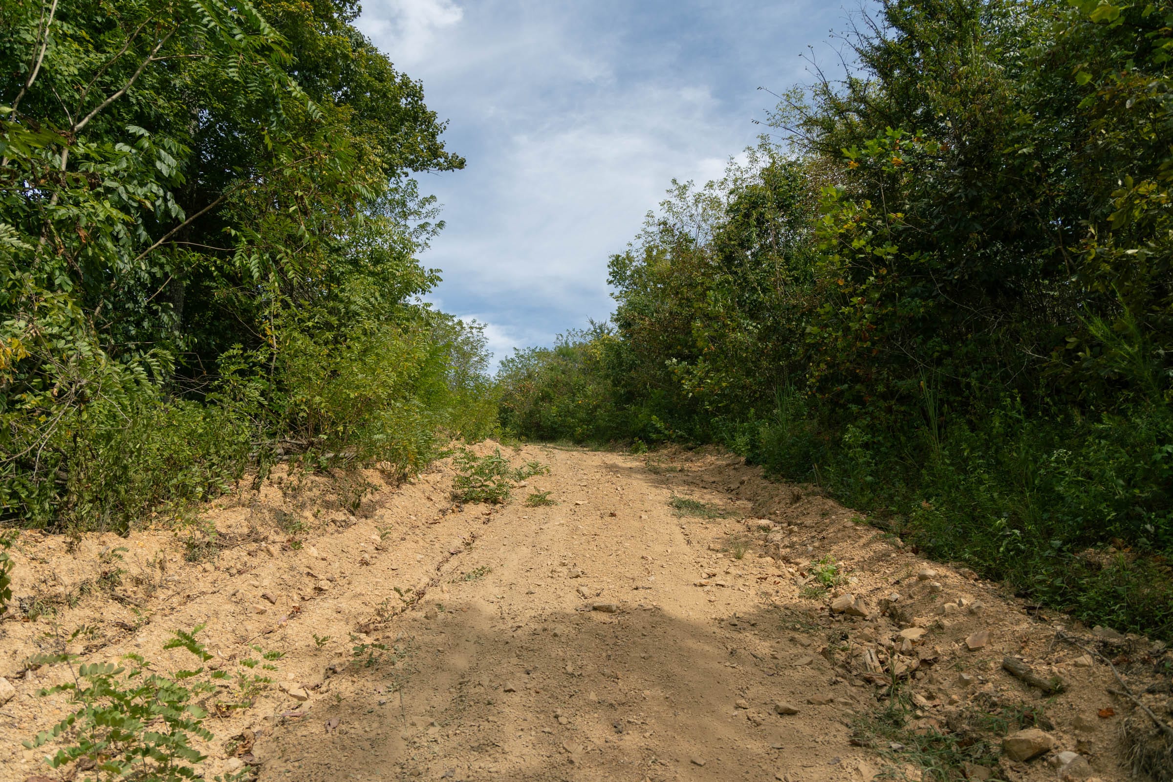 Big White Oak Tract 35 photo 2