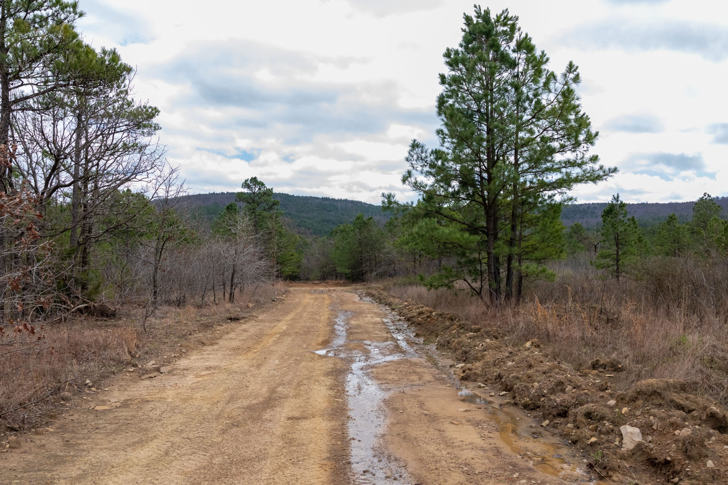 Stone Bridge Phase III Tract 218 photo 2