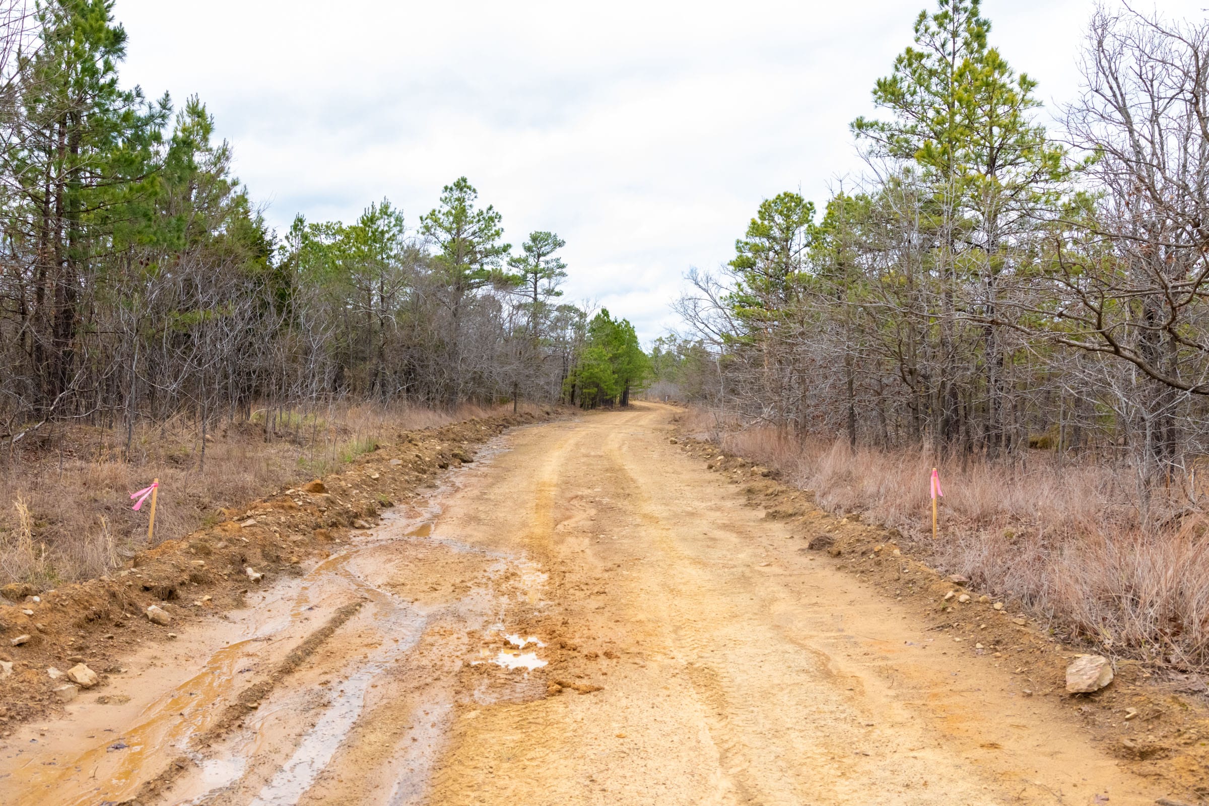 Stone Bridge Phase III Tract 218 photo 6