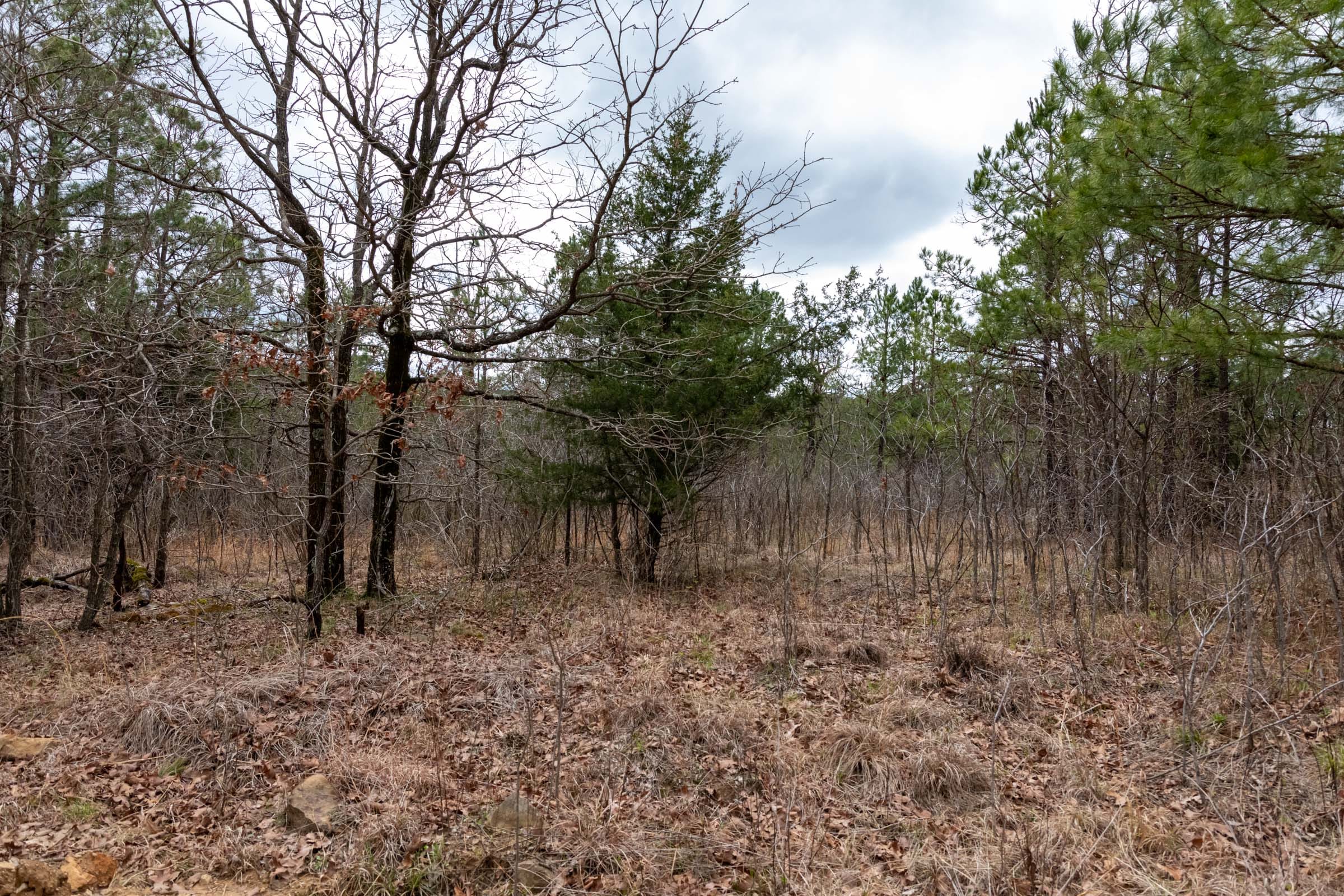Stone Bridge Phase III Tract 218 photo 5