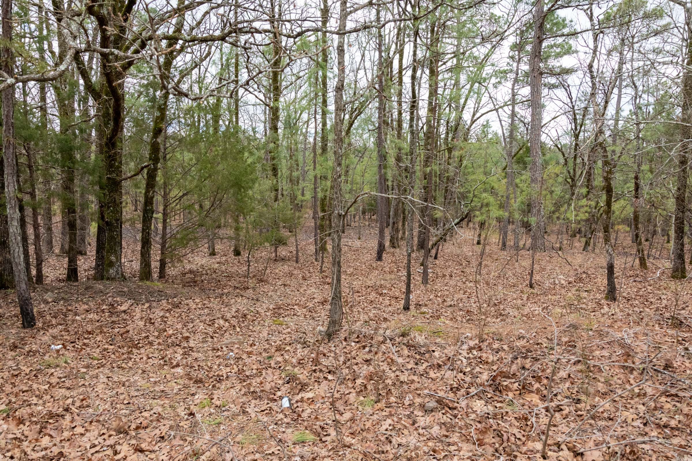 Stone Bridge Phase III Tract 218 photo 10