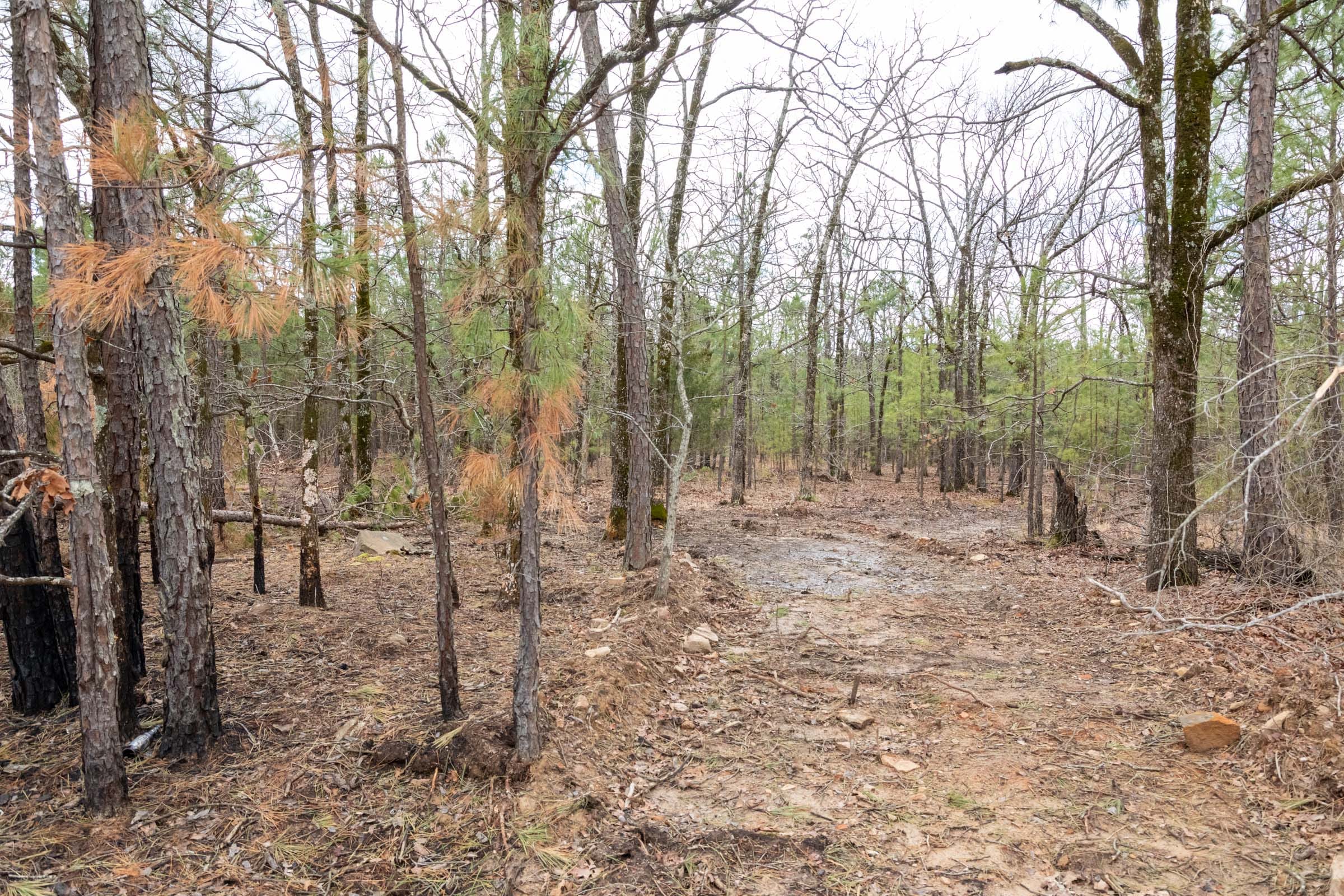 Stone Bridge Phase III Tract 218 photo 11