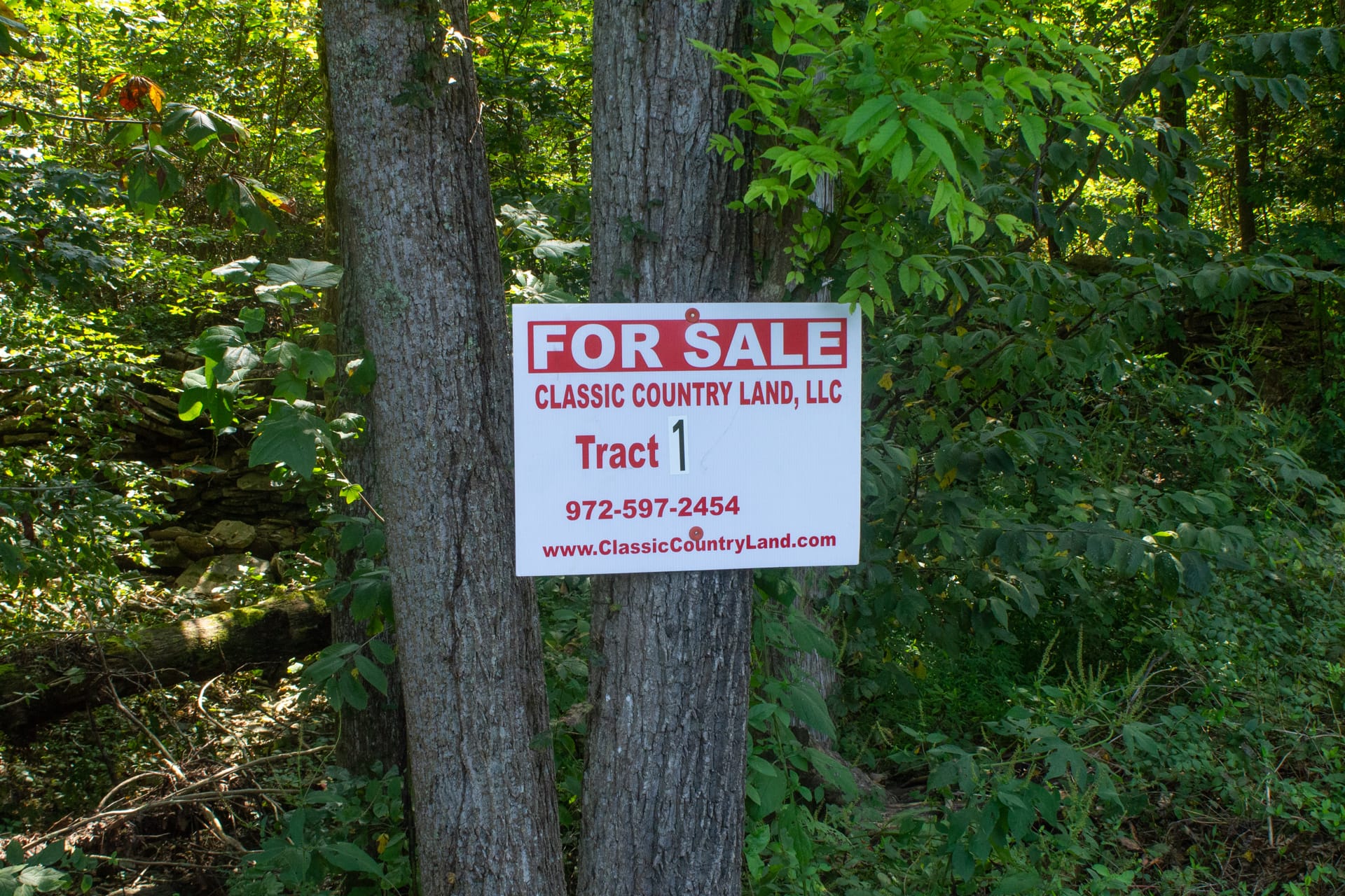Bluegrass Ridge Tract 1 photo 1