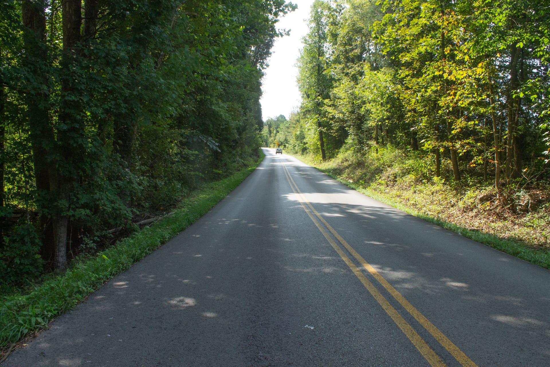 Bluegrass Ridge Tract 1 photo 2