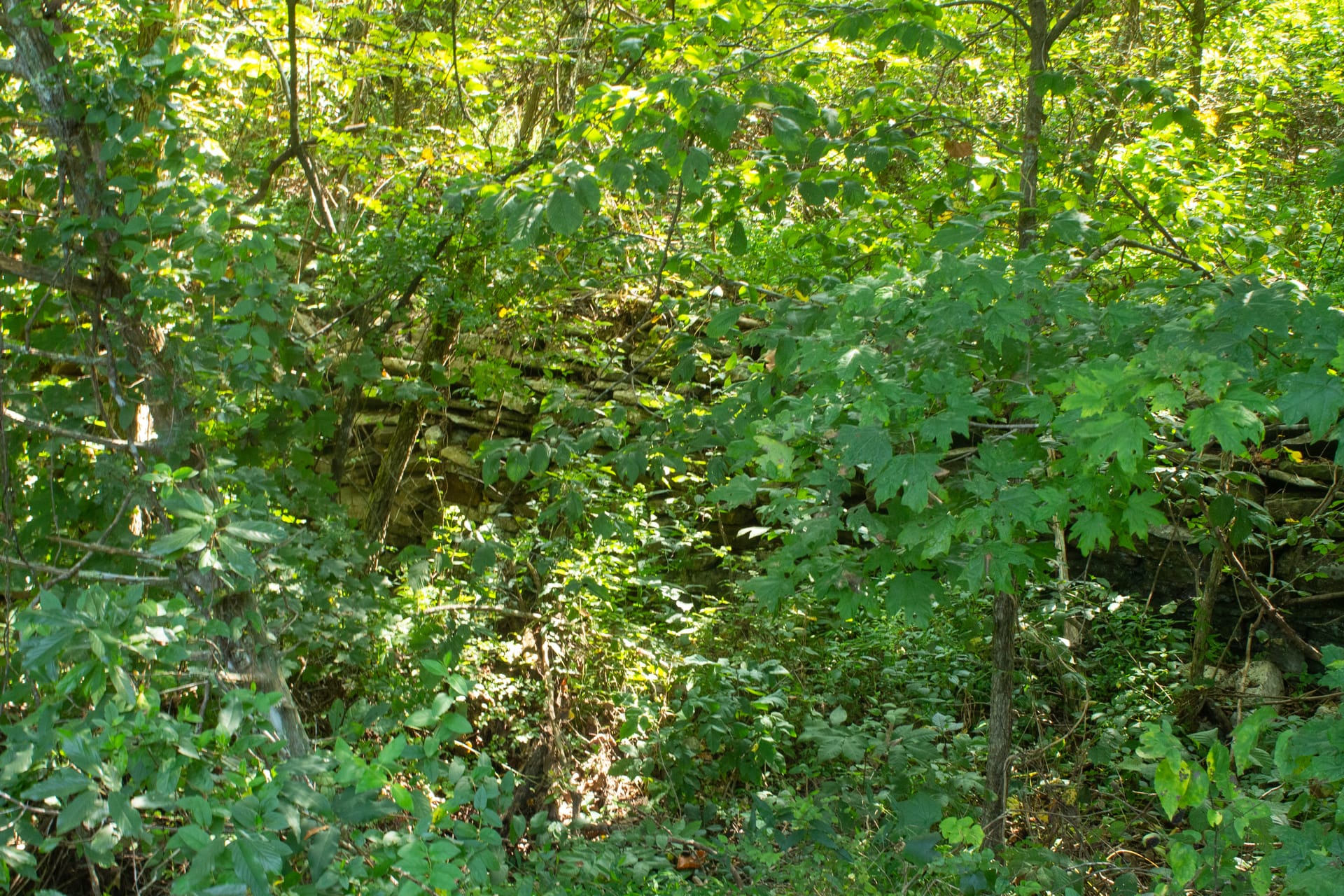 Bluegrass Ridge Tract 1 photo 4