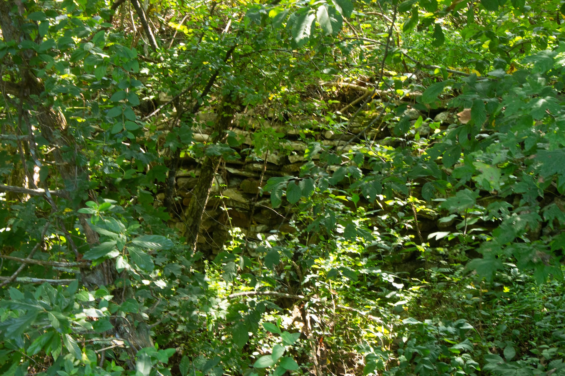 Bluegrass Ridge Tract 1 photo 5