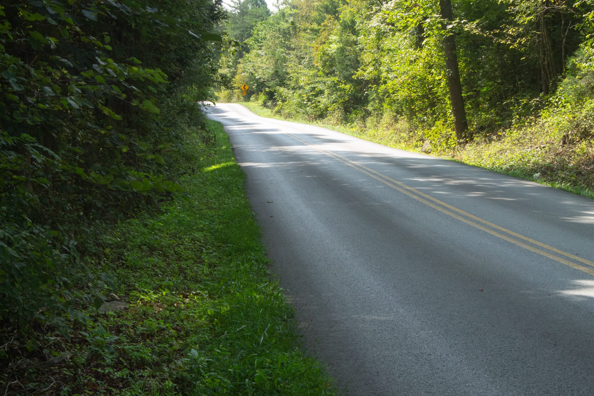 Bluegrass Ridge Tract 1 photo 7
