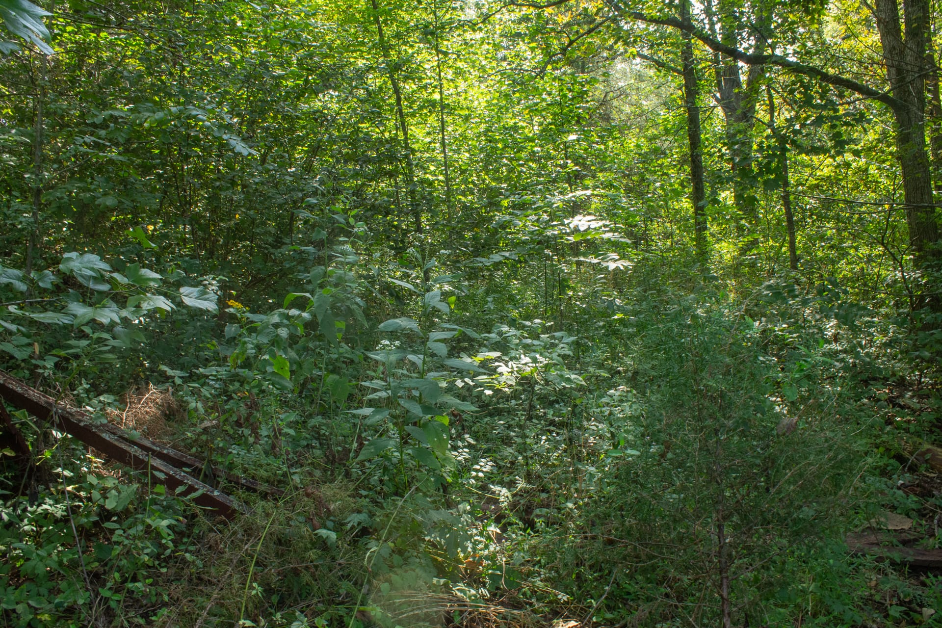 Bluegrass Ridge Tract 1 photo 12