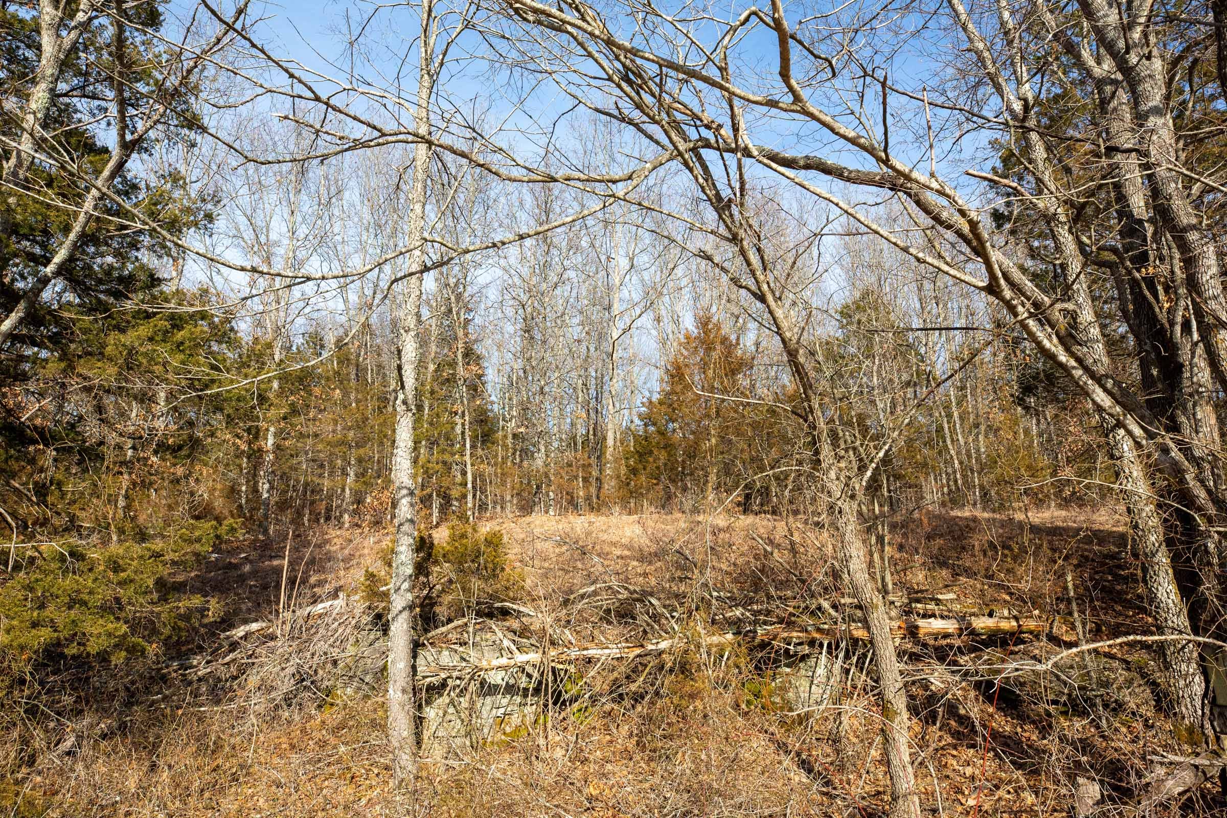 Forest Hill Tract 9 photo 2