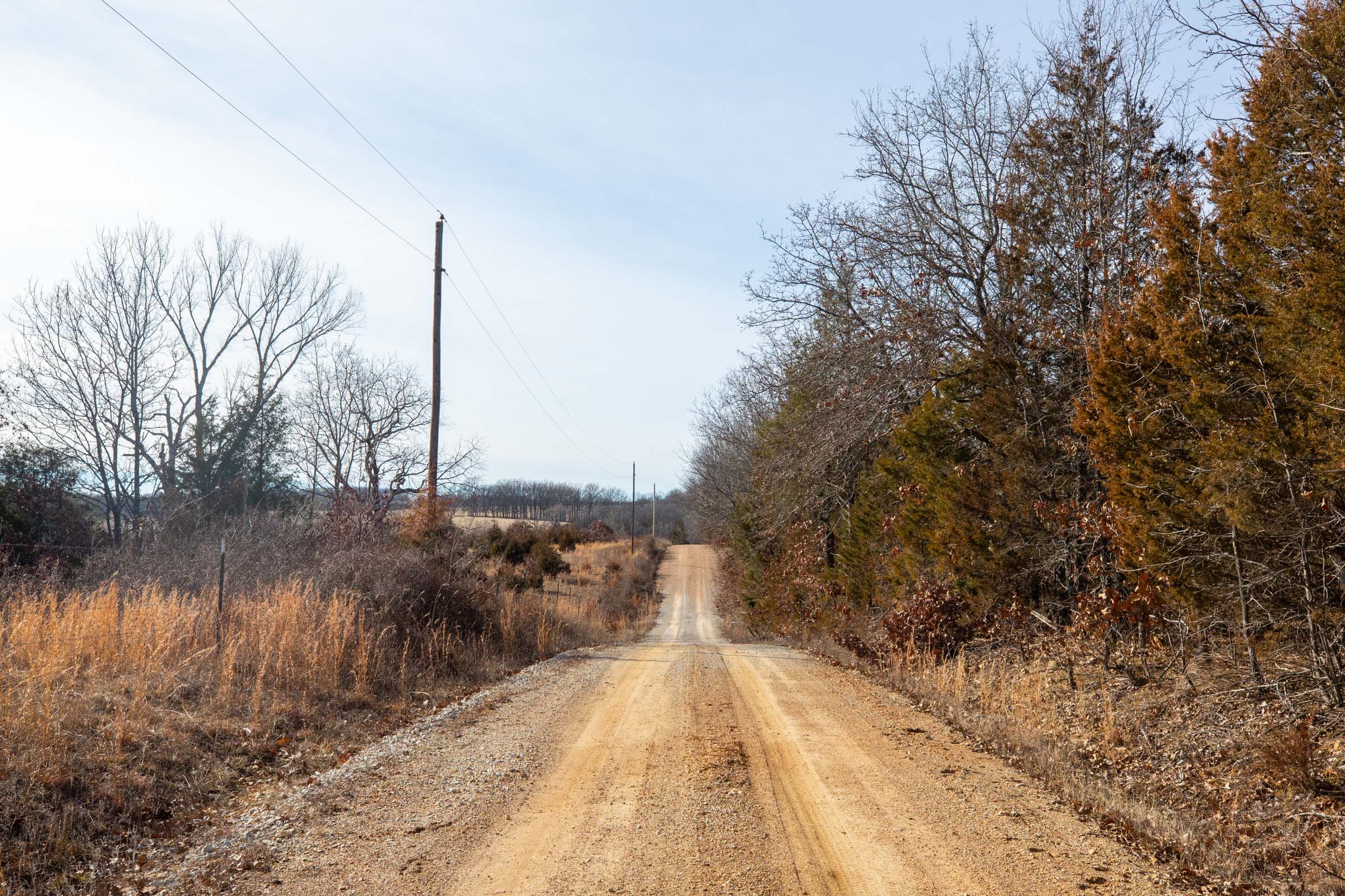 Forest Hill Tract 9 photo 10