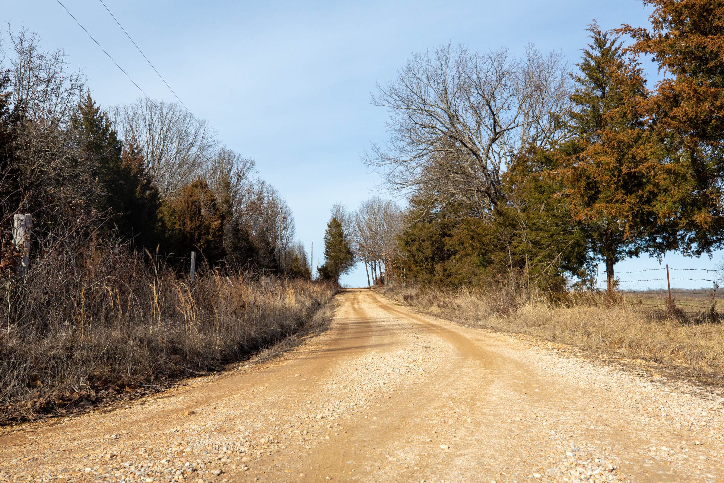Forest Hill Tract 9 photo 1