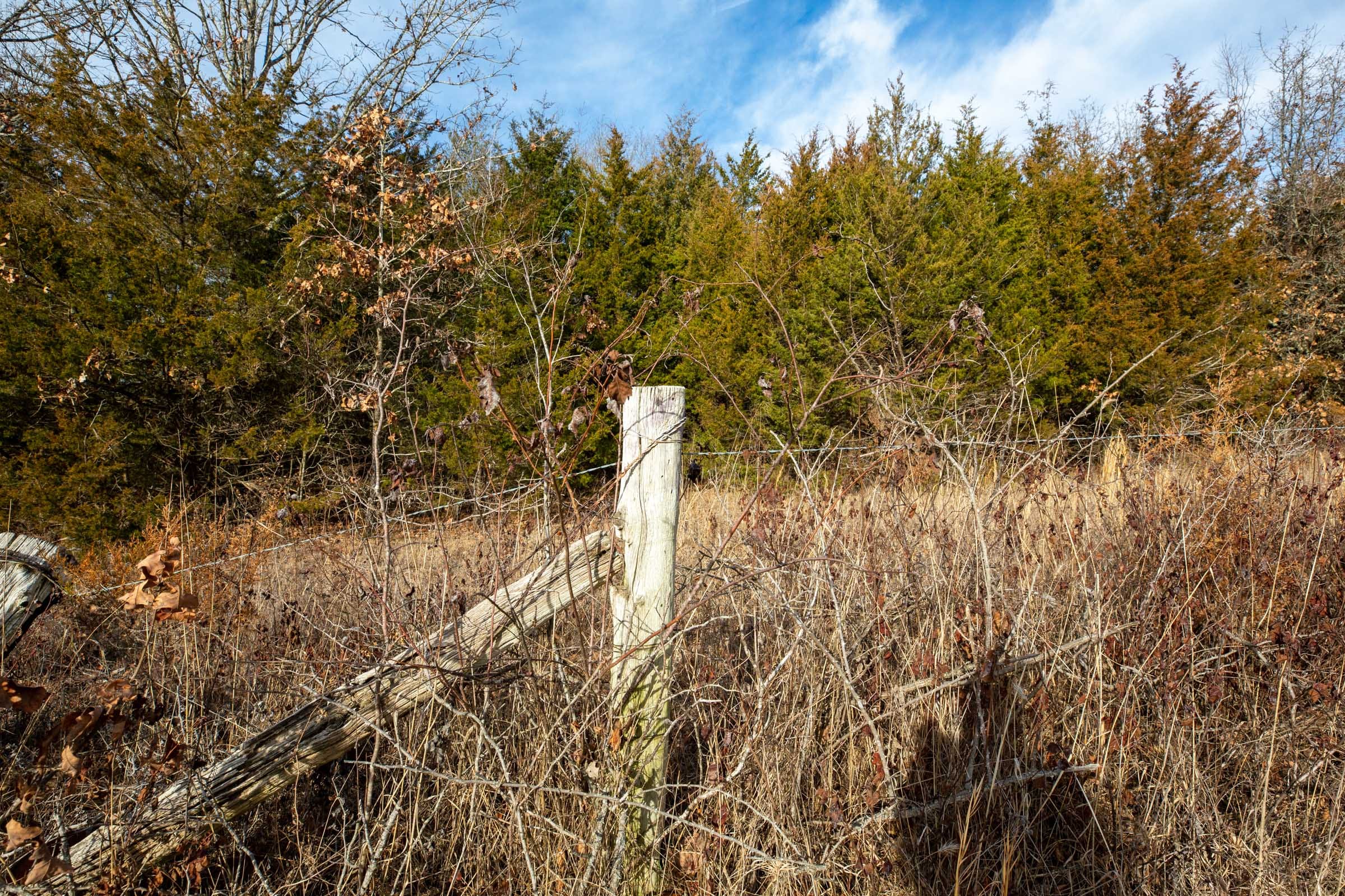 Forest Hill Tract 9 photo 6
