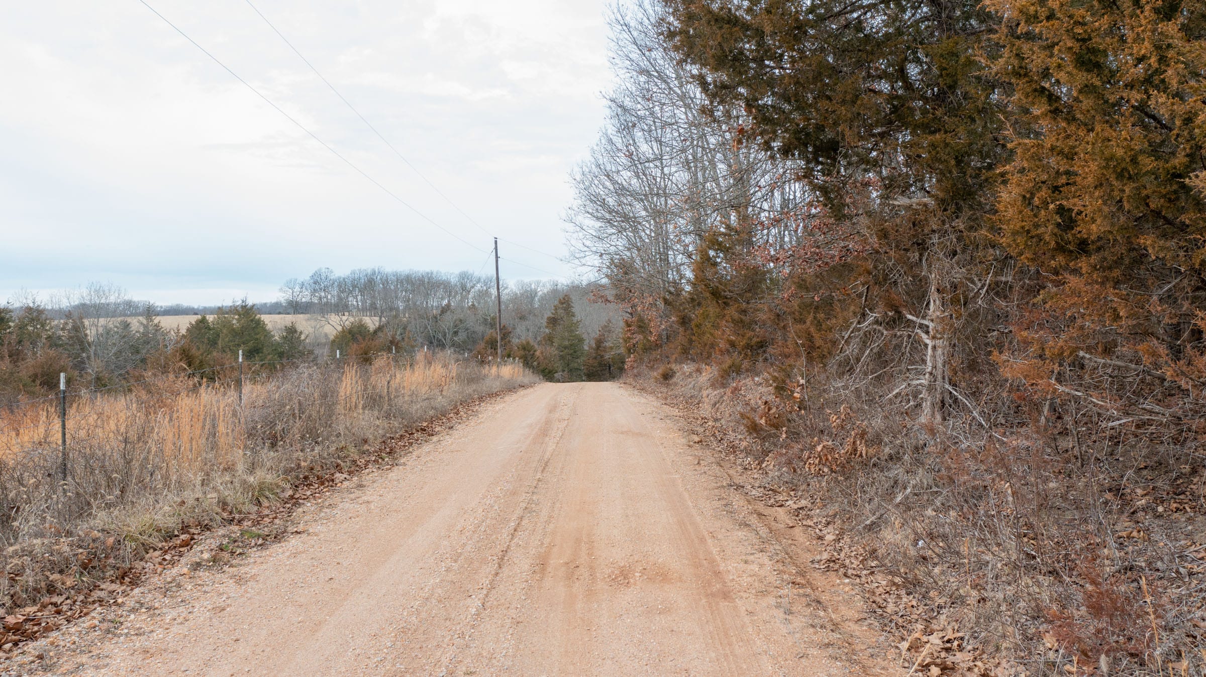 Forest Hill Tract 9 photo 5