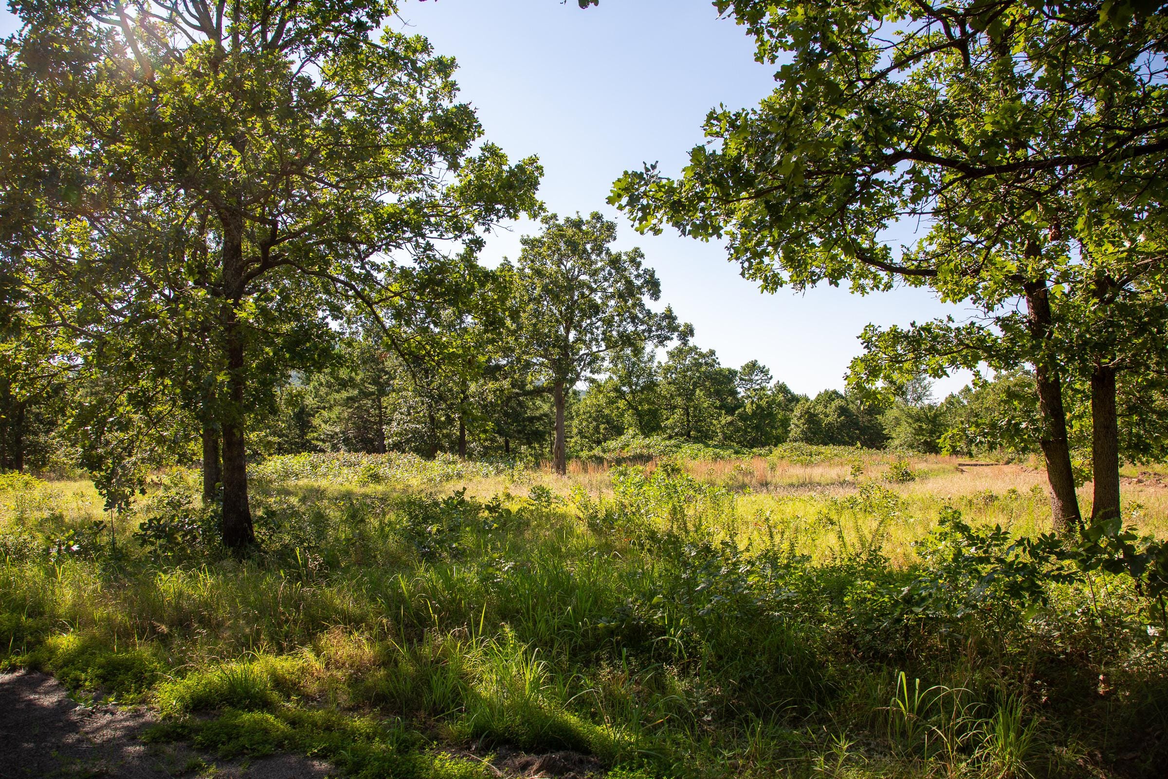 Tyler Stone Ranch Tract 15 photo 2