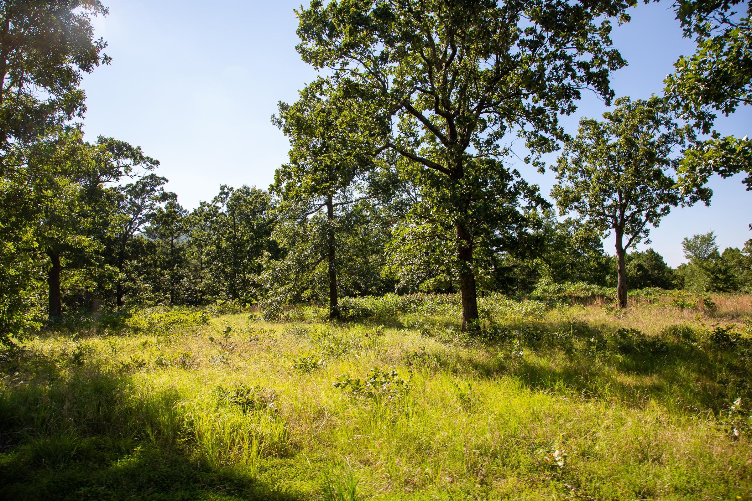 Tyler Stone Ranch Tract 15 photo 1
