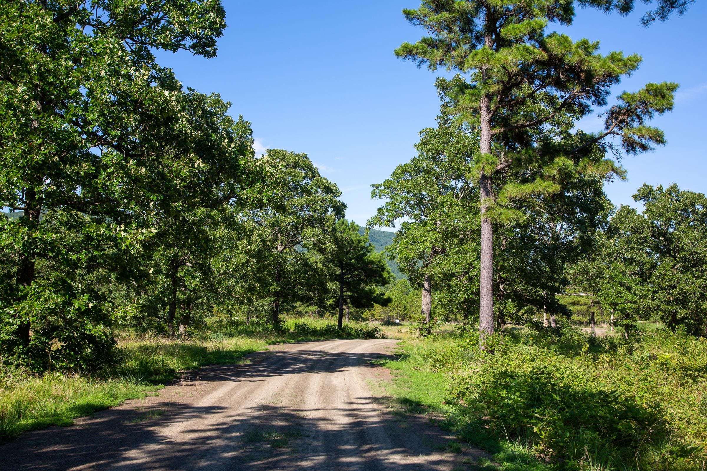 Tyler Stone Ranch Tract 15 photo 6
