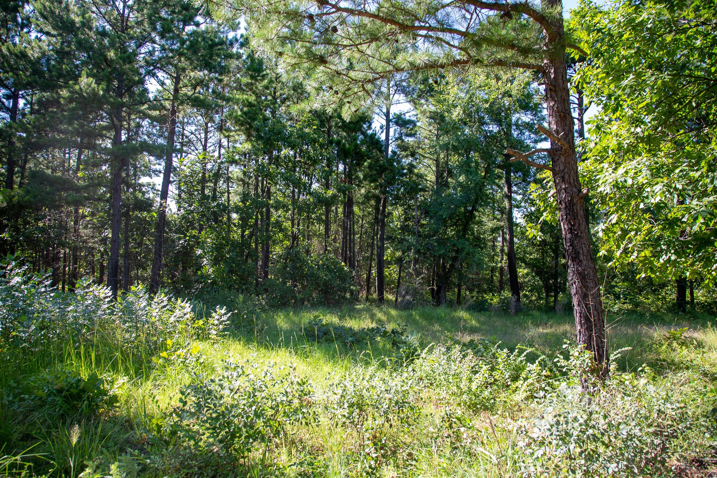 Tyler Stone Ranch Tract 15 photo 8