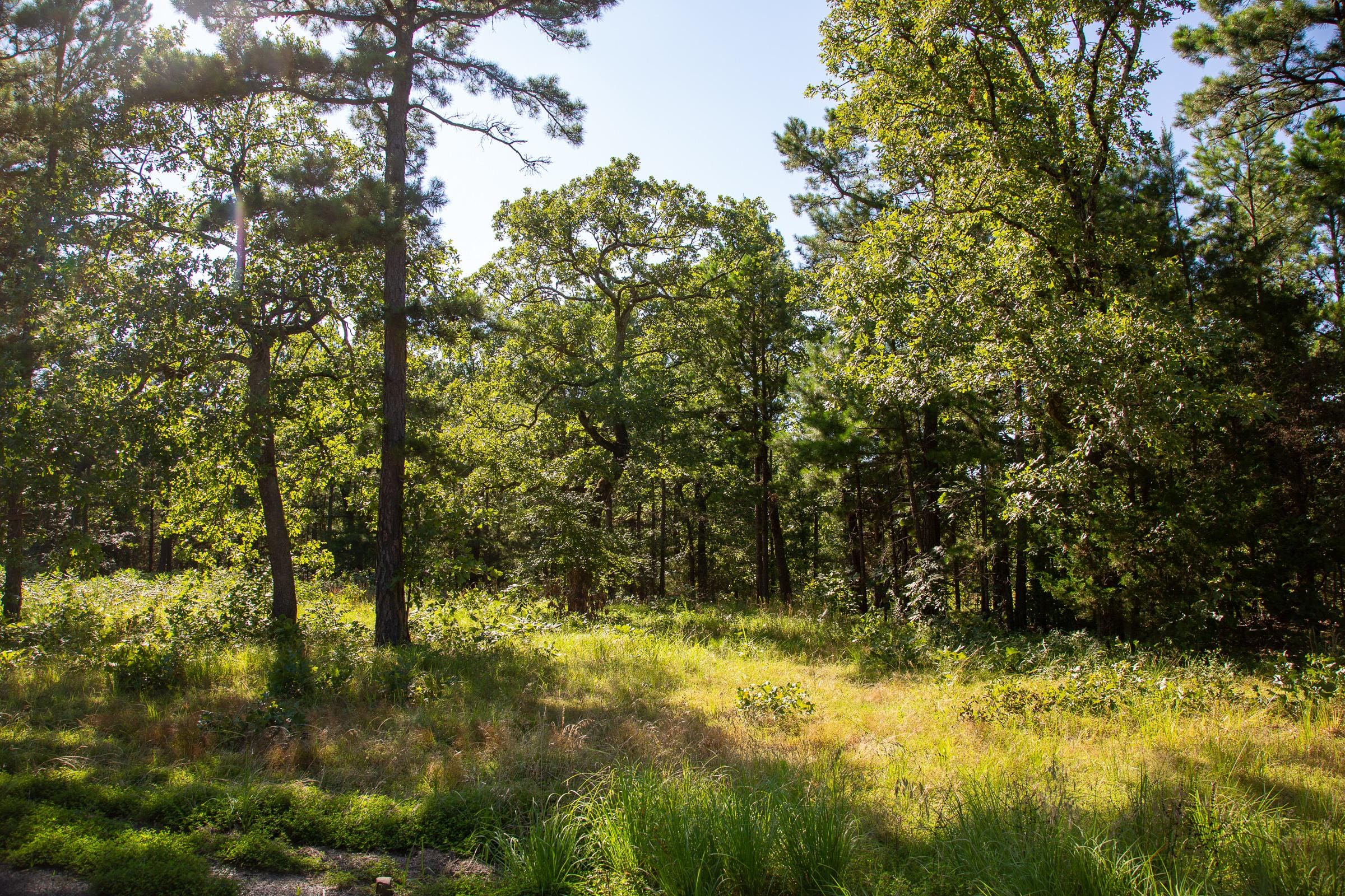 Tyler Stone Ranch Tract 15 photo 11