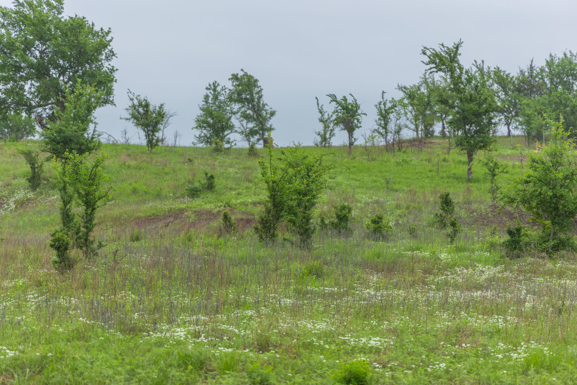 Harmony Hills Tract 4 photo 3