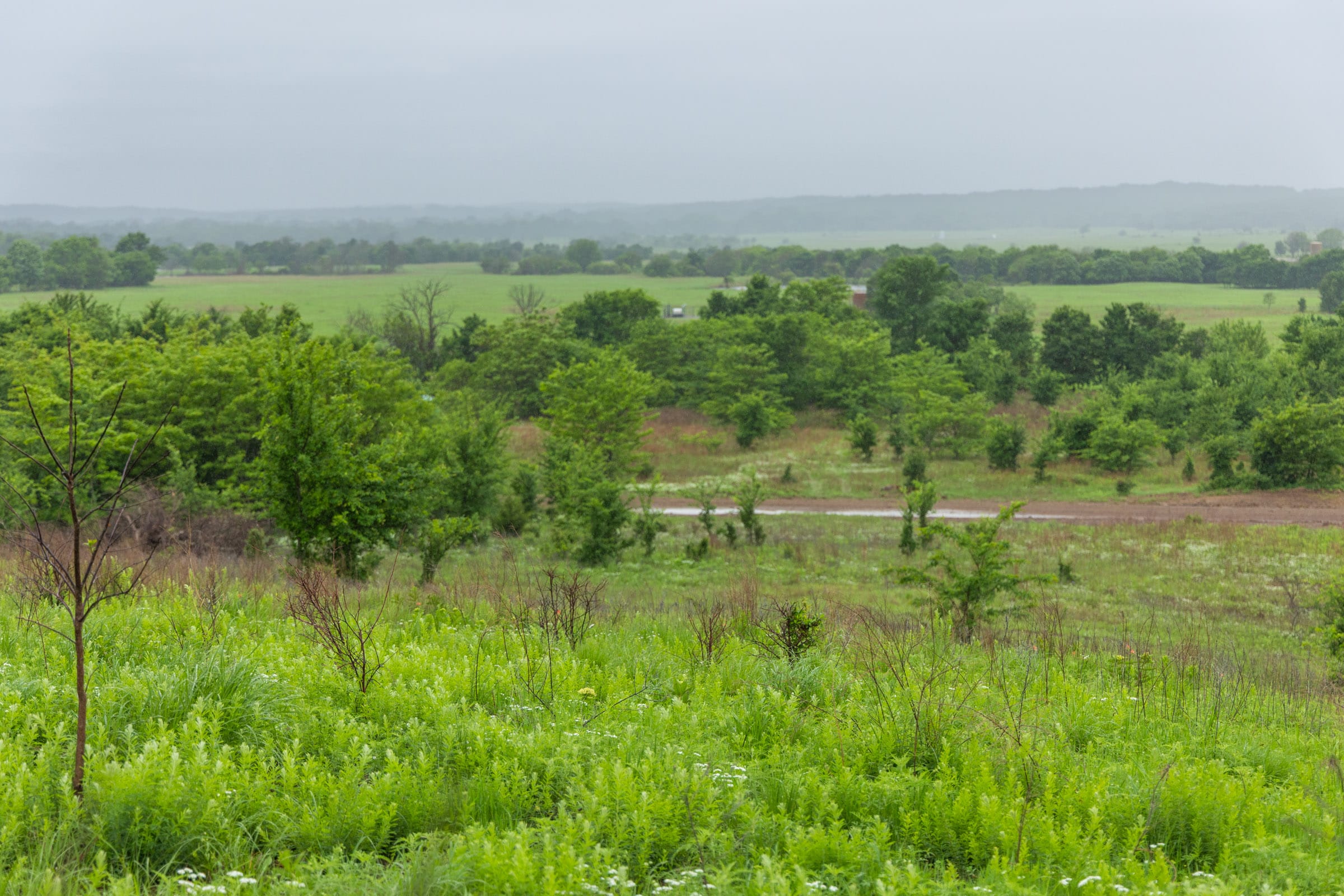 Harmony Hills Tract 4 photo 5
