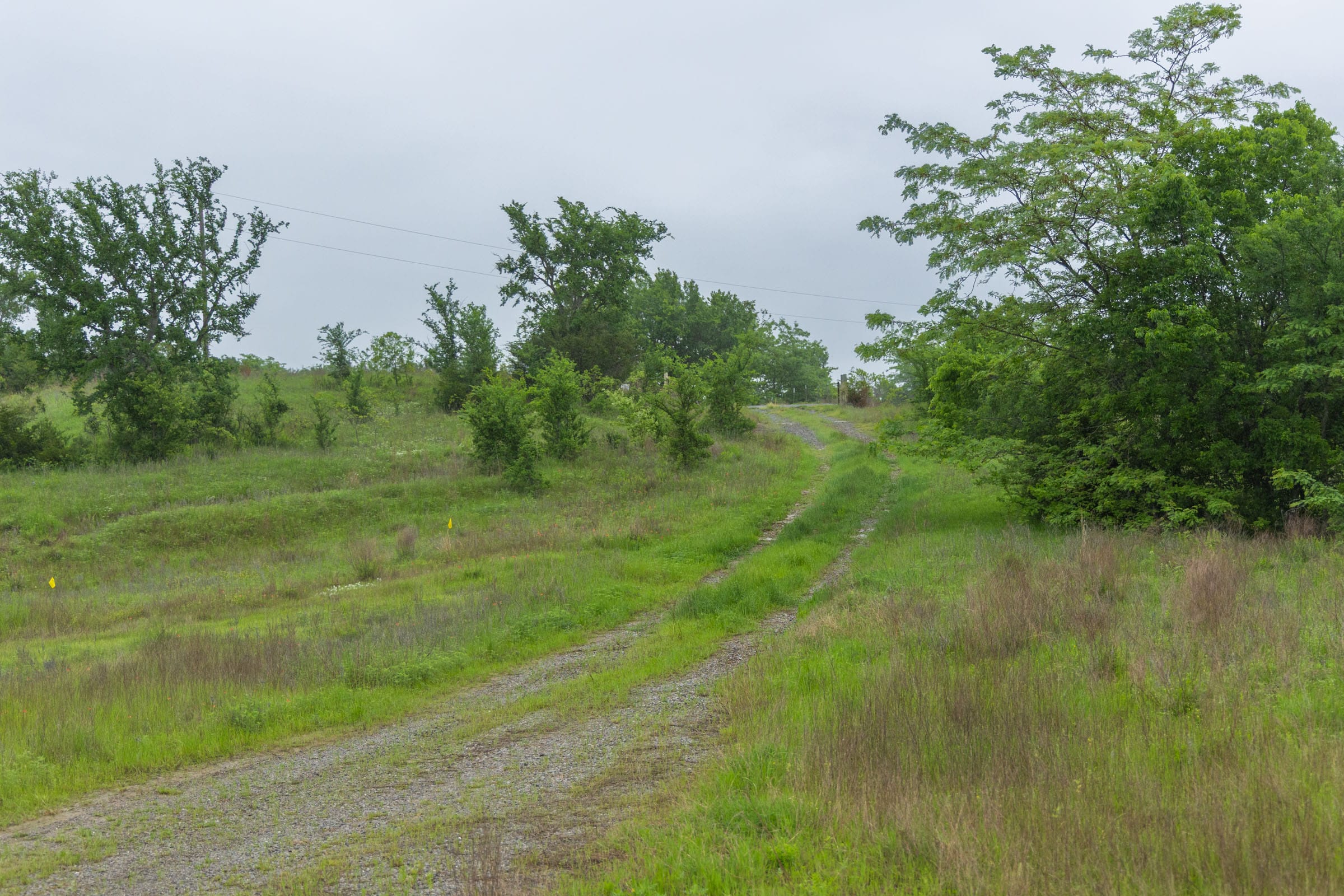 Harmony Hills Tract 4 photo 12