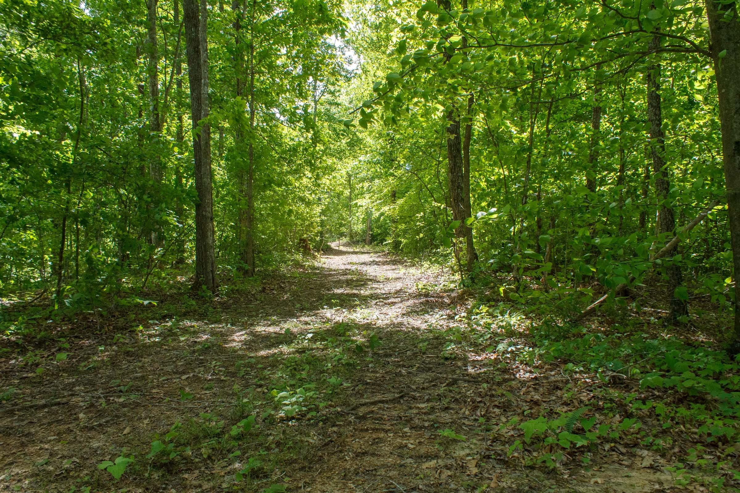 Riverbend Tract 16 photo 2