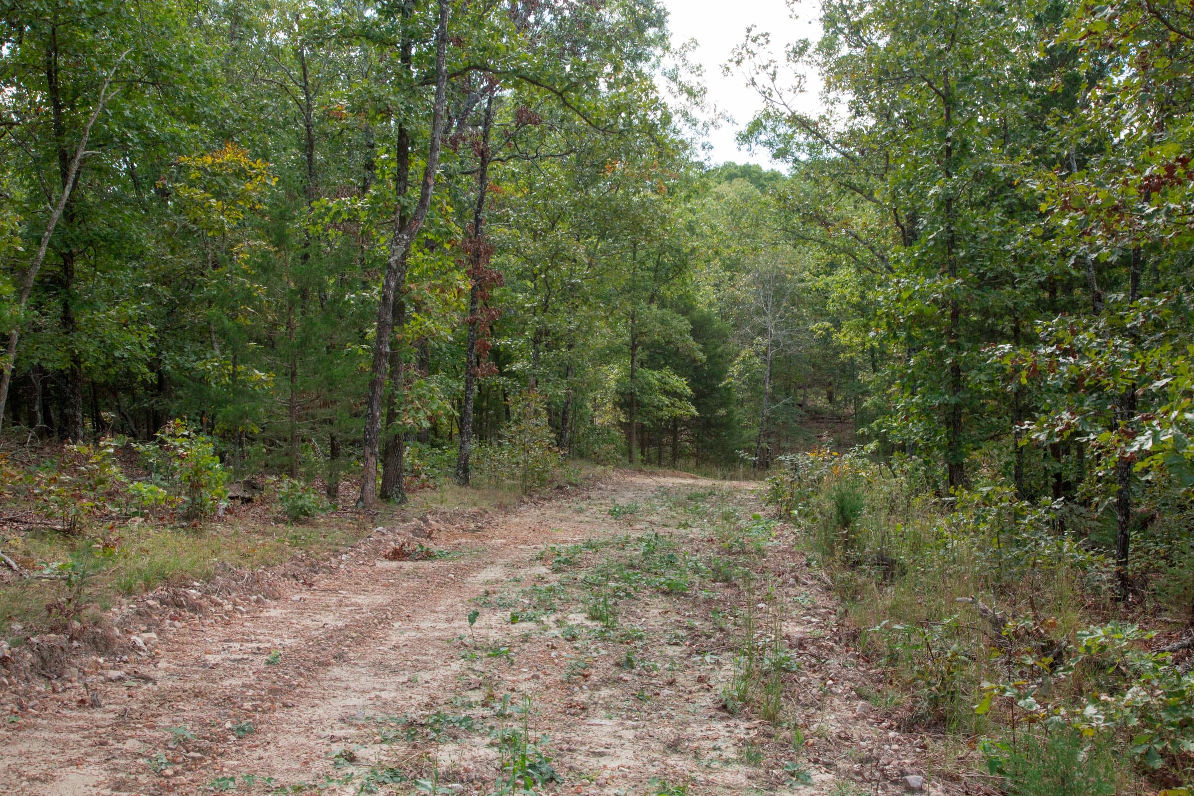Wagon Wheel Ranch Tract 46 photo 4